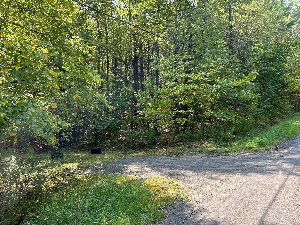 Property Photo:  200 Ridge Road  NY 13787 