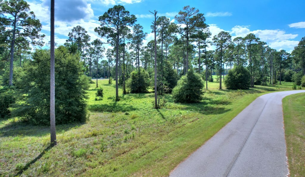 Property Photo:  Lot 48 Blk A - Swann Dr.  GA 31015 