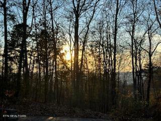 Property Photo:  Lot 63 Twin City Way  TN 37876 