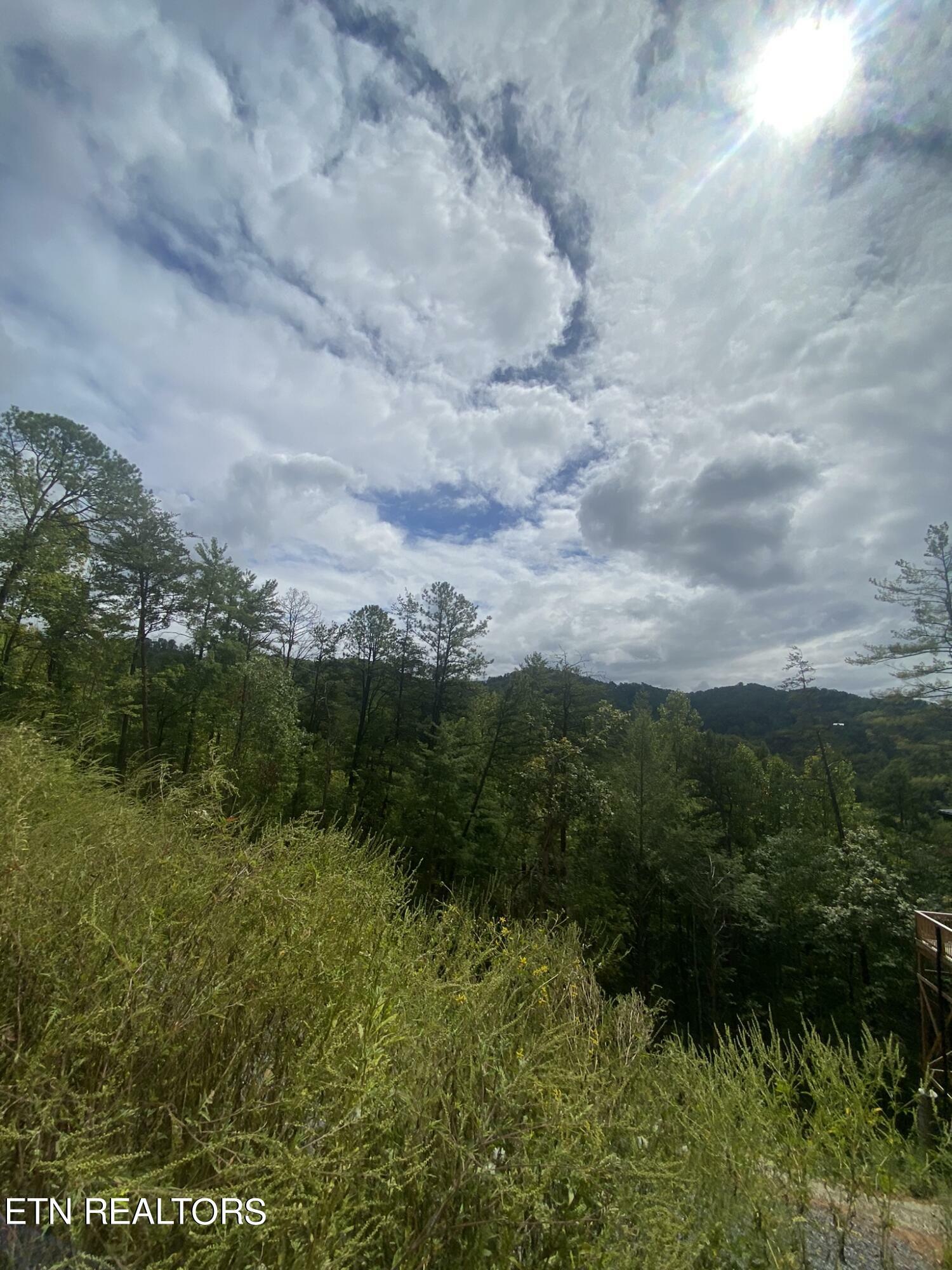 Property Photo:  Lot 9 Sunset Rd  TN 37876 