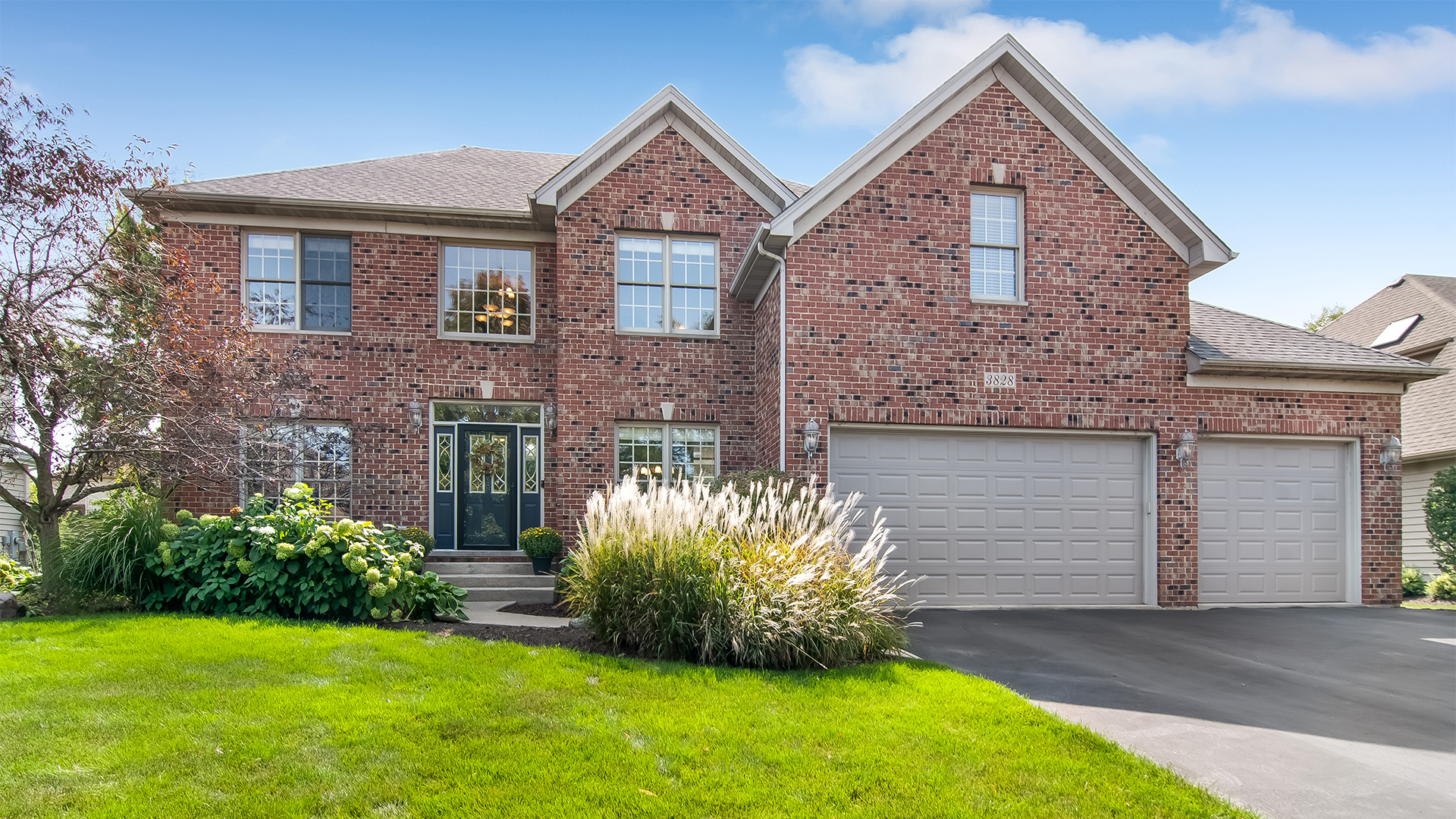 Property Photo:  3828 Mistflower Lane  IL 60564 