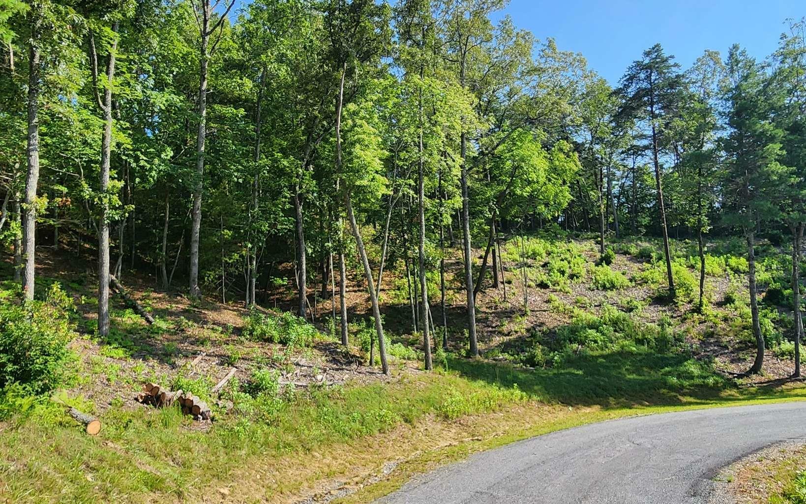 Property Photo:  Lot 6 Mountain Laurel Ridge  GA 30559 