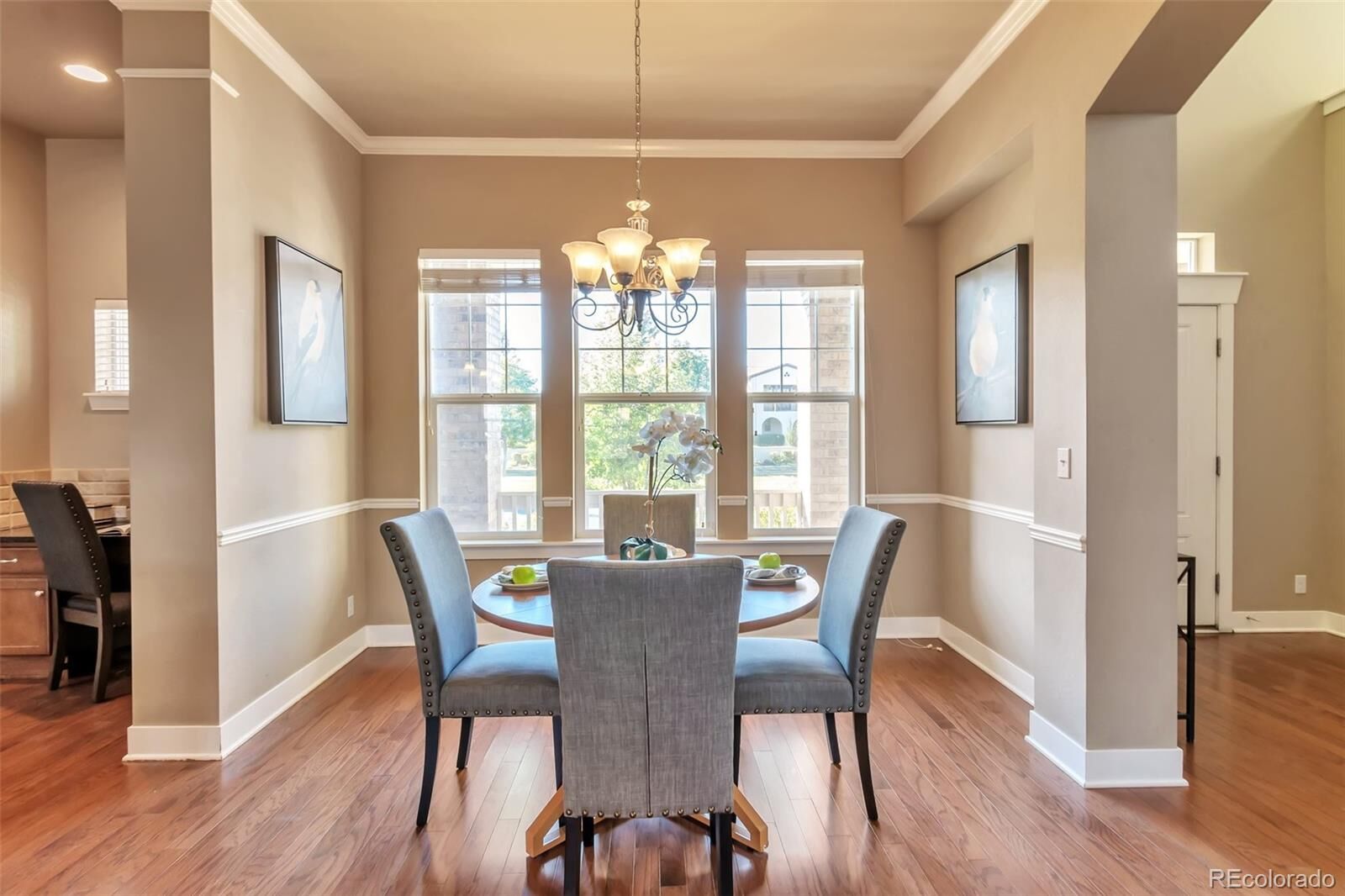 Property Photo: 8537 E 35th Avenue CO 80238