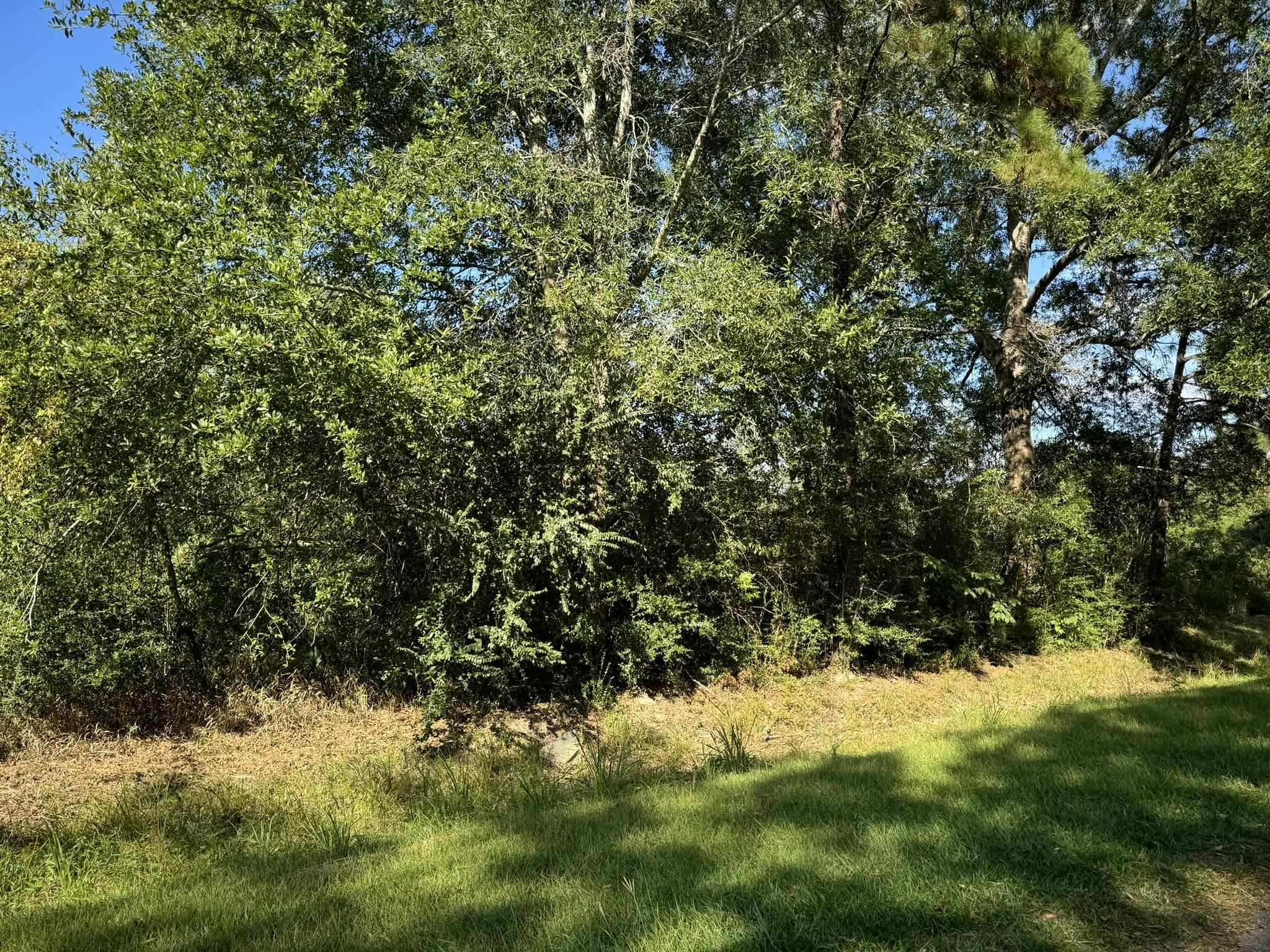 Property Photo:  Lot 76 Pine Park Blvd  TX 77632 