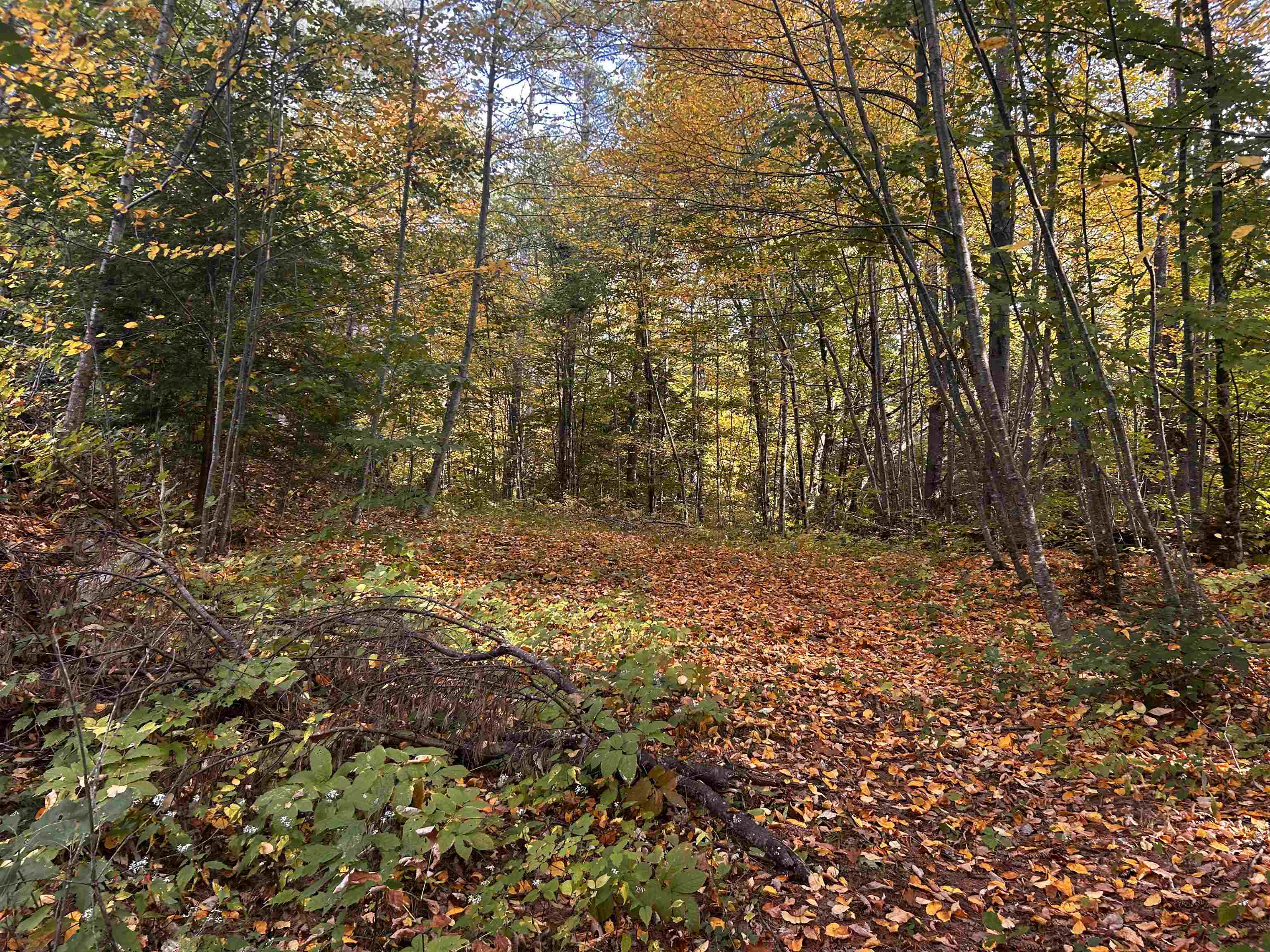 Property Photo:  0 Glass Factory Road  NH 03082 