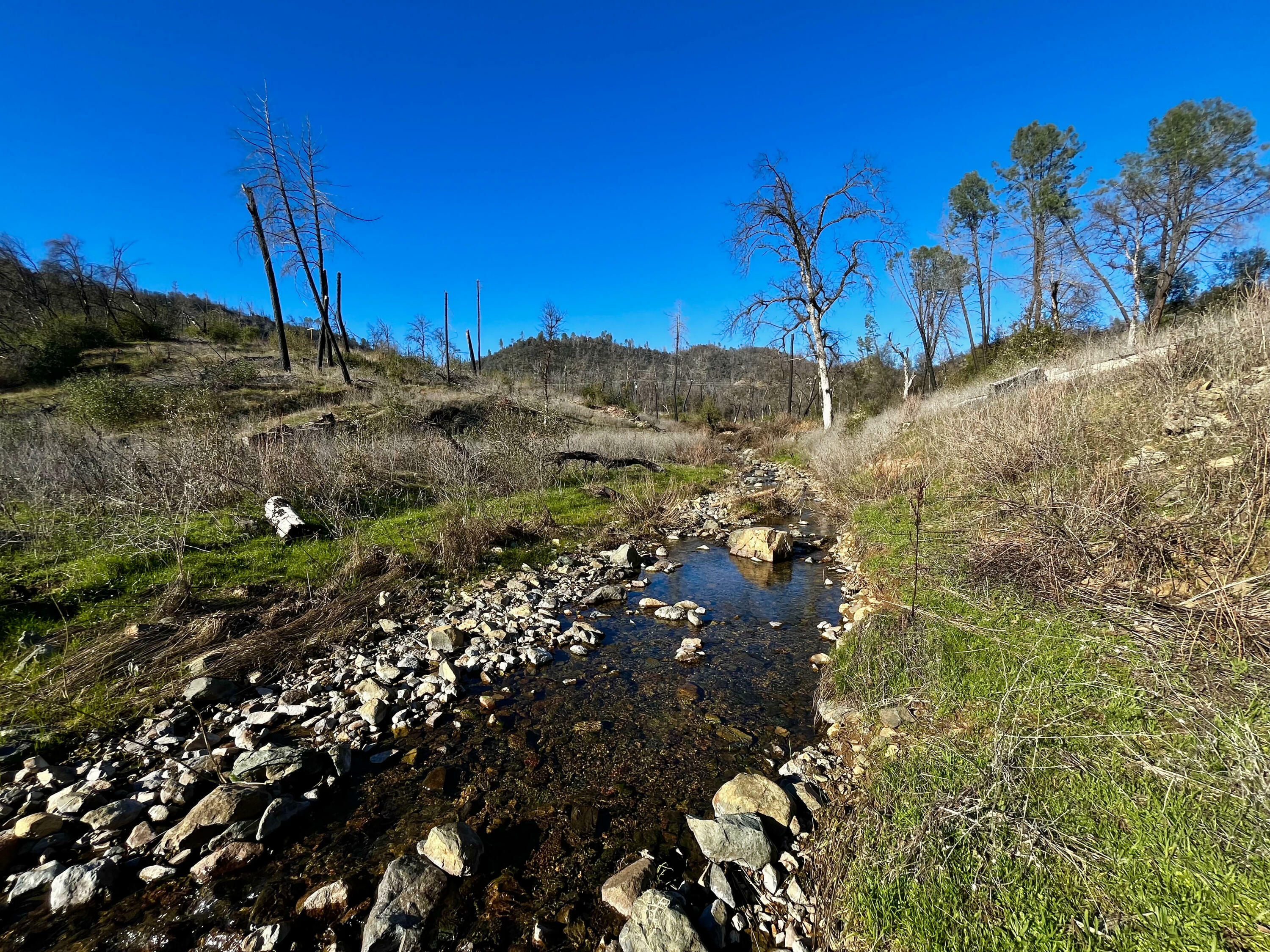 Property Photo:  14378 Christian Way  CA 96003 