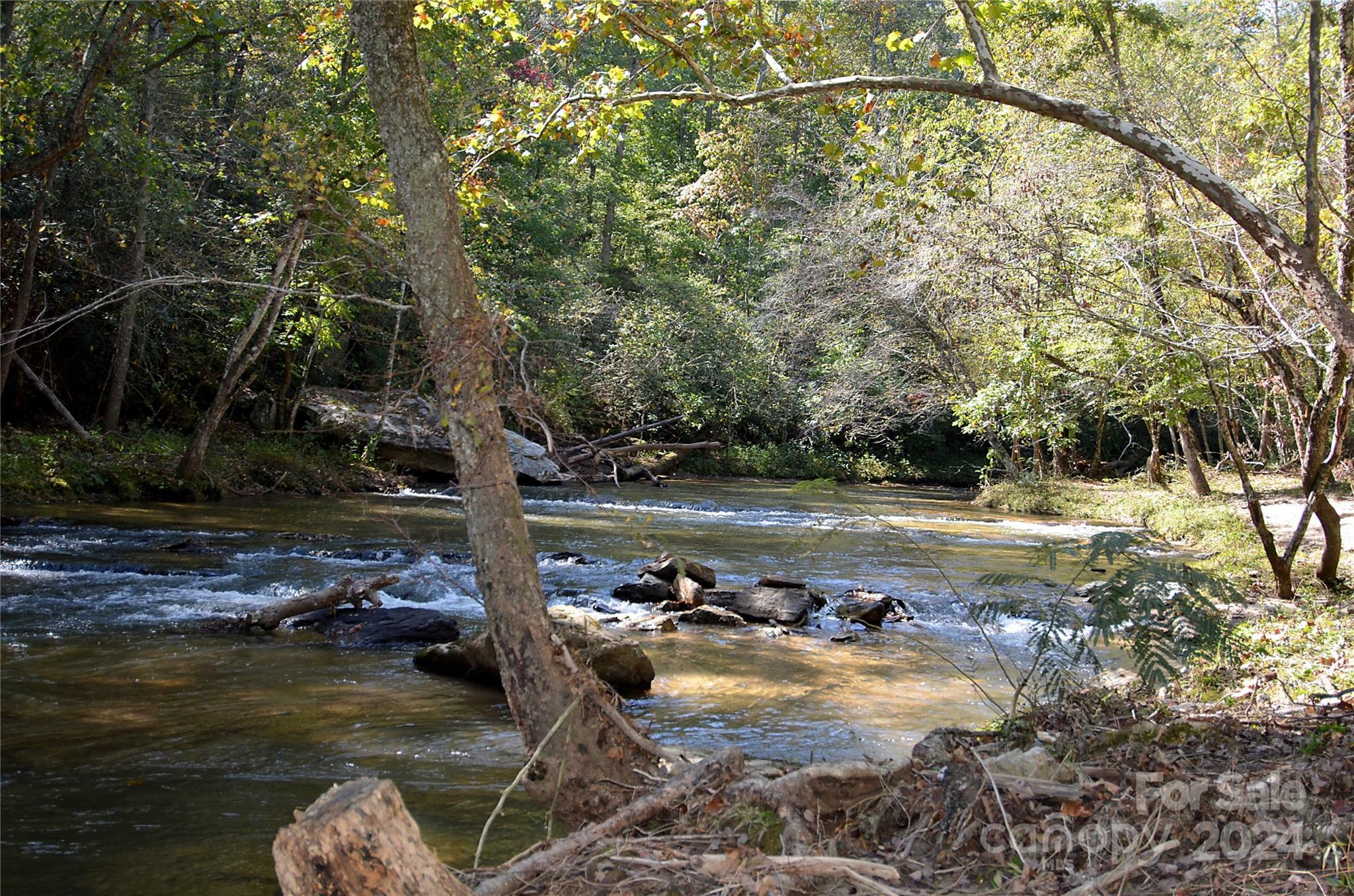 Property Photo:  00 Painters Gap Road  NC 28167 