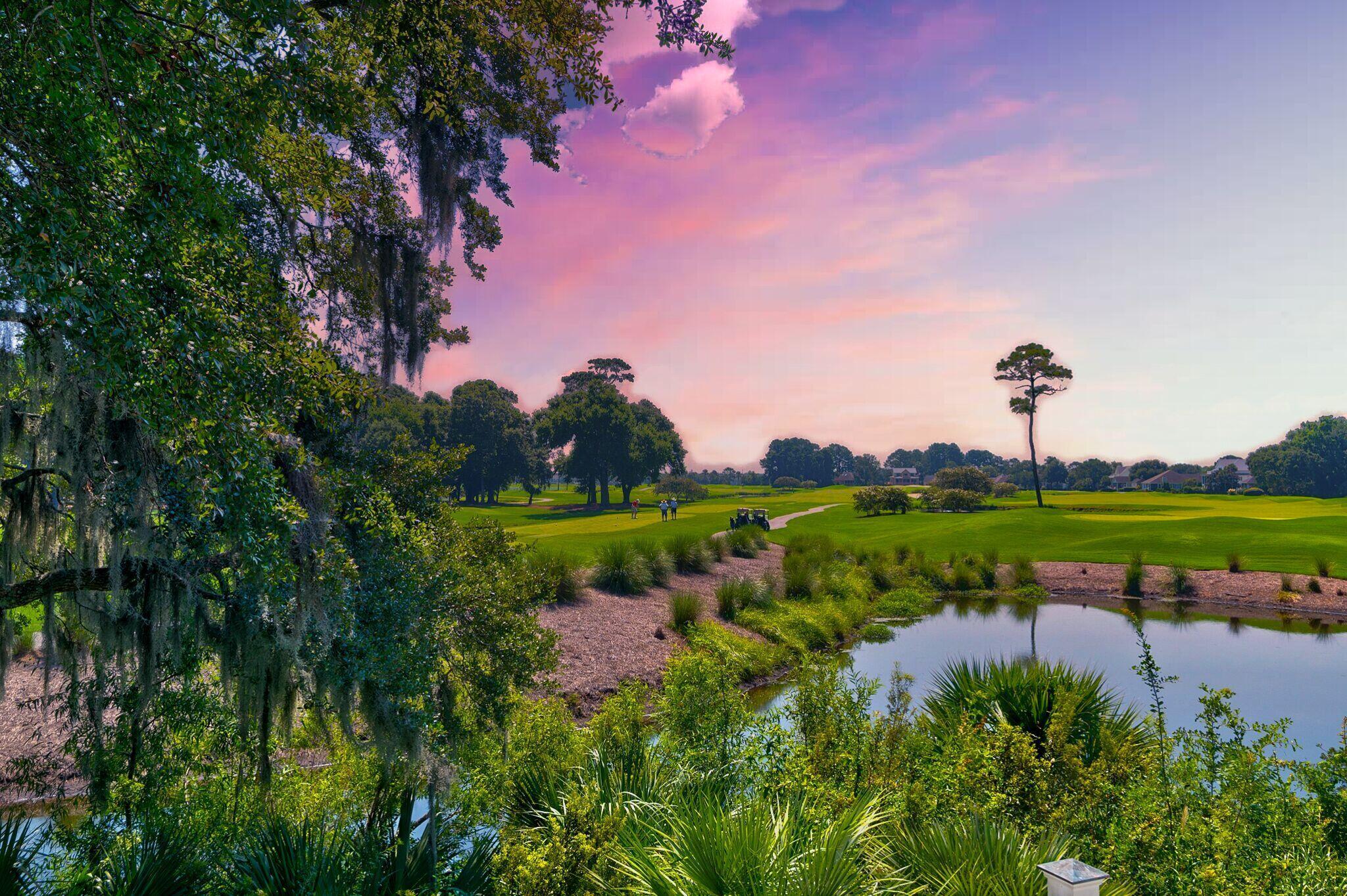 Property Photo: 4255 Hope Plantation Drive SC 29455