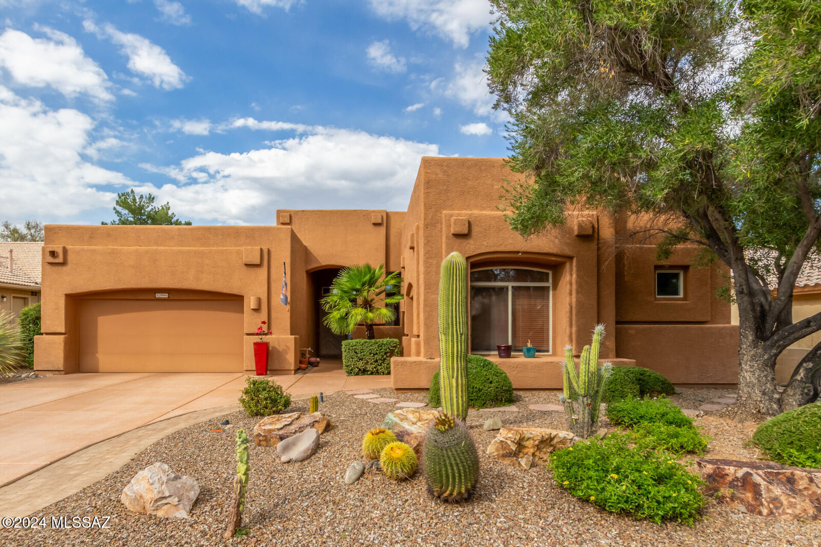 Property Photo:  62994 E Flower Ridge Drive  AZ 85739 