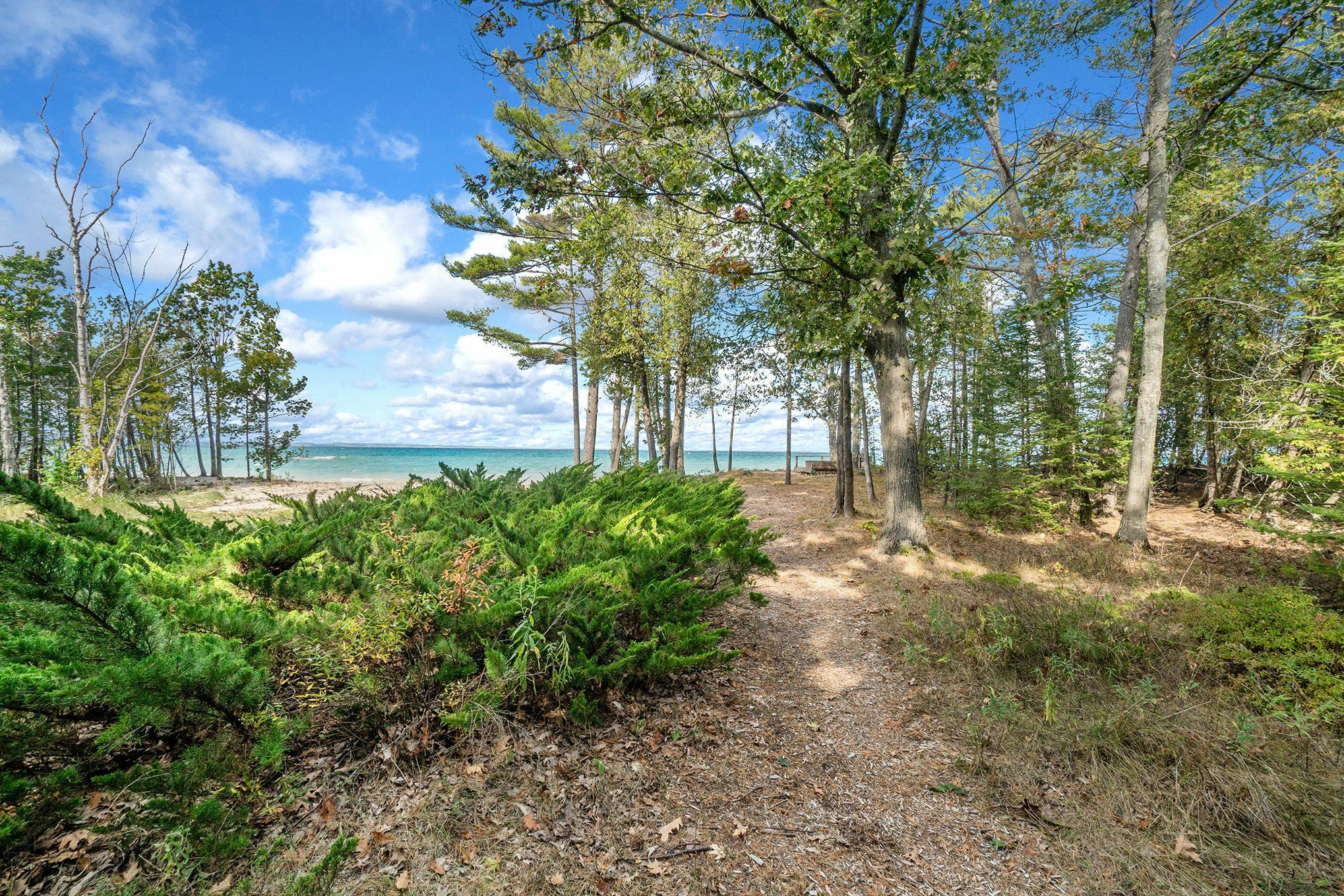 Property Photo:  3017 Forest Beach Trail  MI 49648 