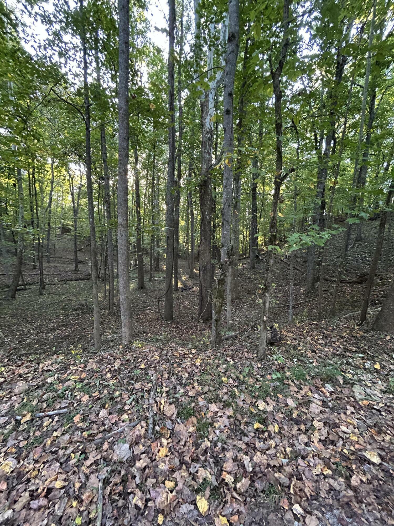 Property Photo:  00 Westbrook Drive NW  TN 37312 