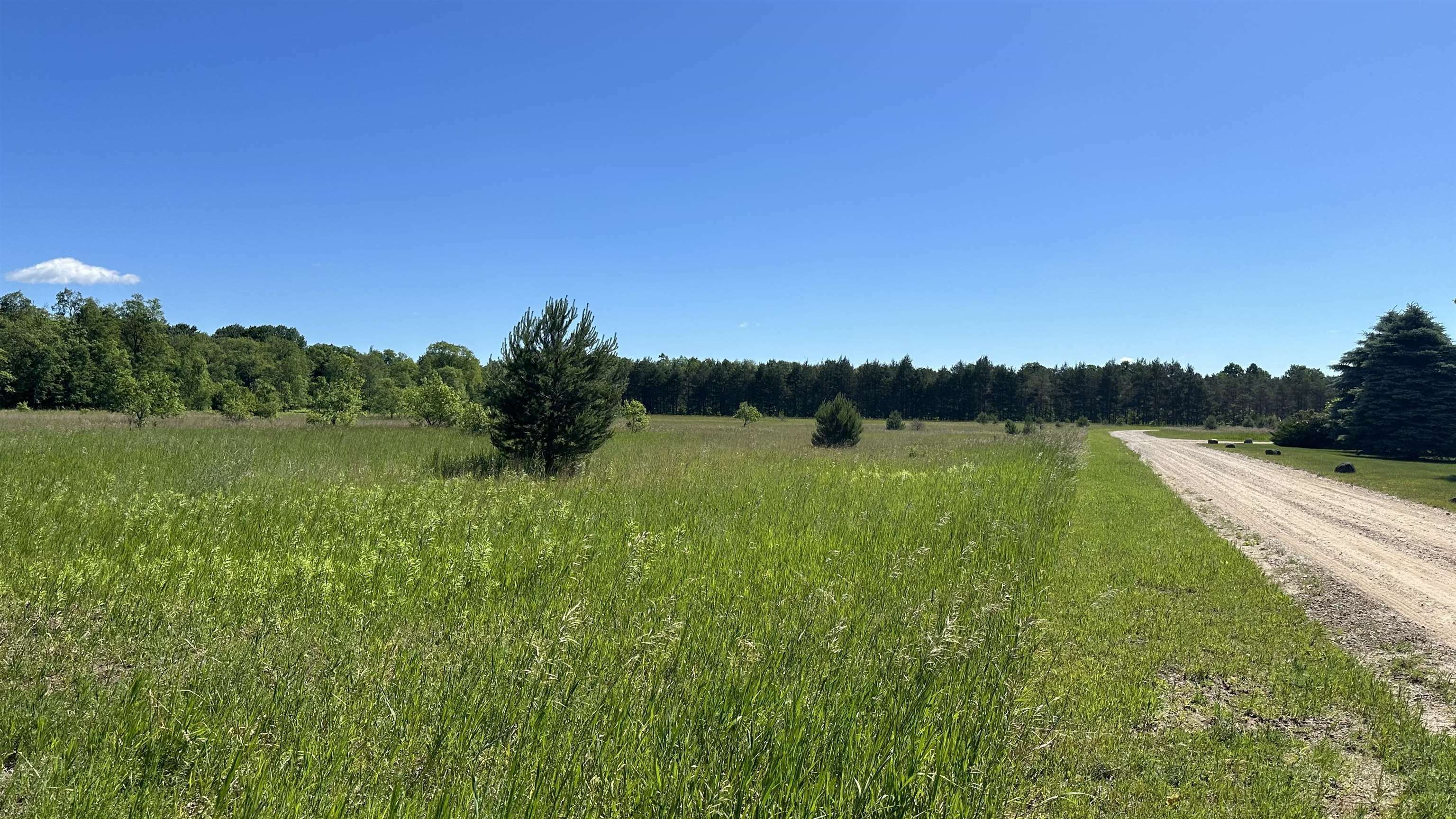 Property Photo:  Lot 4 Eric Drive  MI 49646 