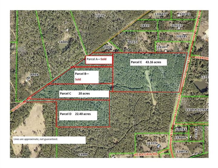 Property Photo: Parcel E Hwy 437 LA 70435