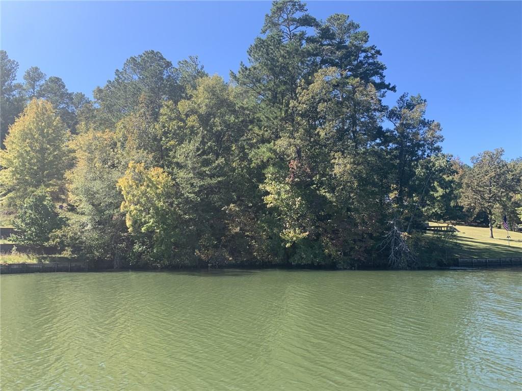 Property Photo: 0 Harbour Pointe GA 31087