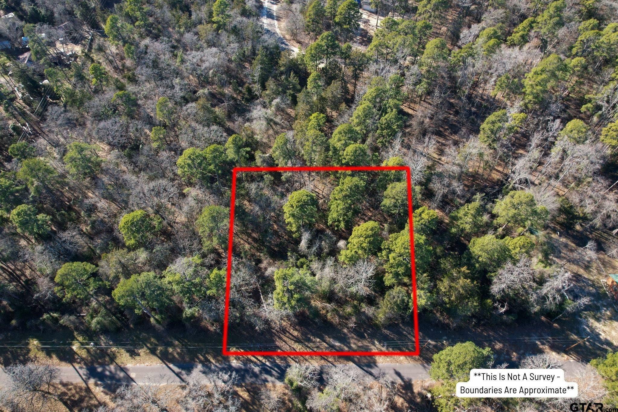 Property Photo:  Lot 336 King Bernard  TX 75480 