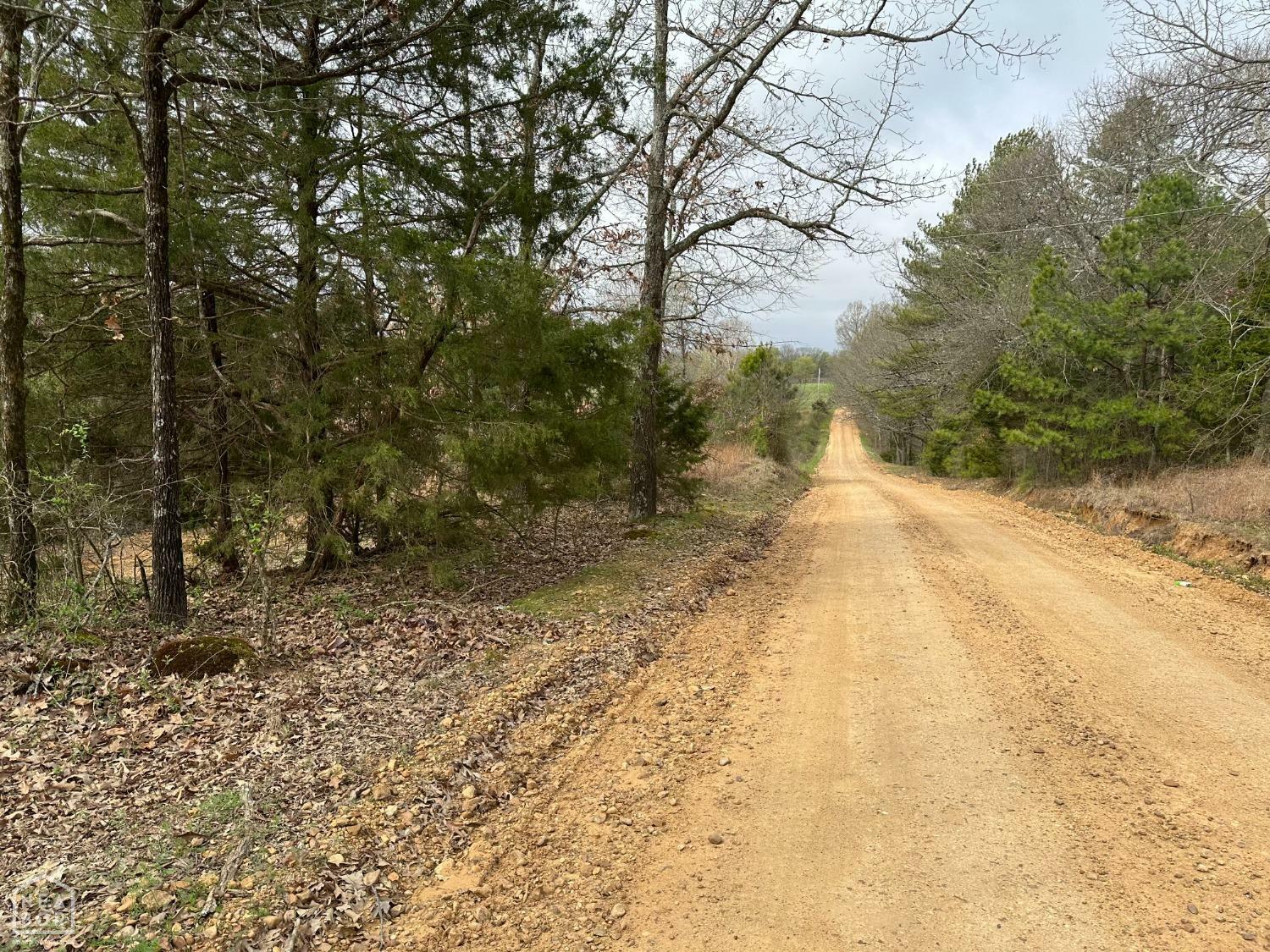 Property Photo:  0 Raby Road  AR 72432 