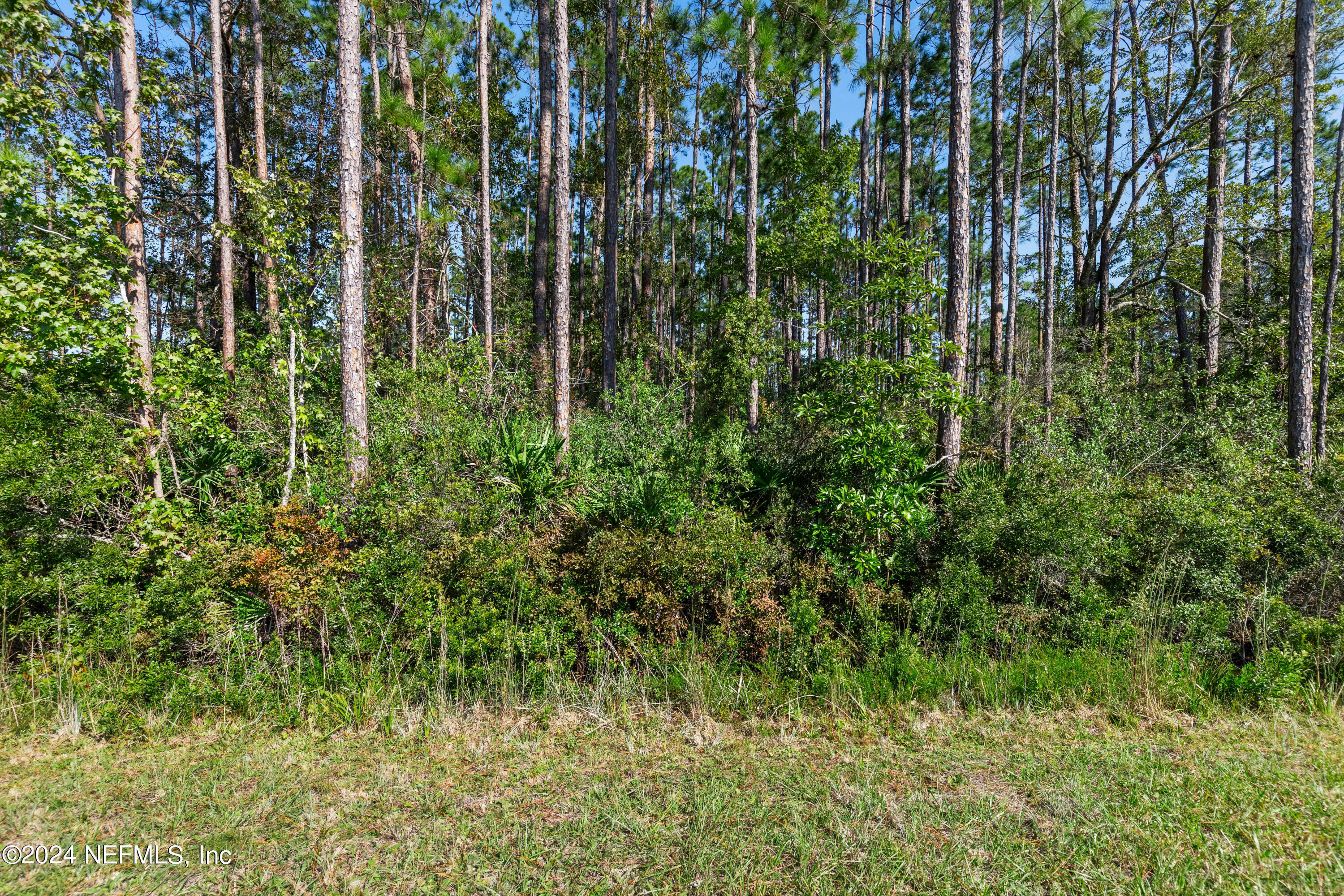 Property Photo:  4628 Kangaroo Street  FL 32068 