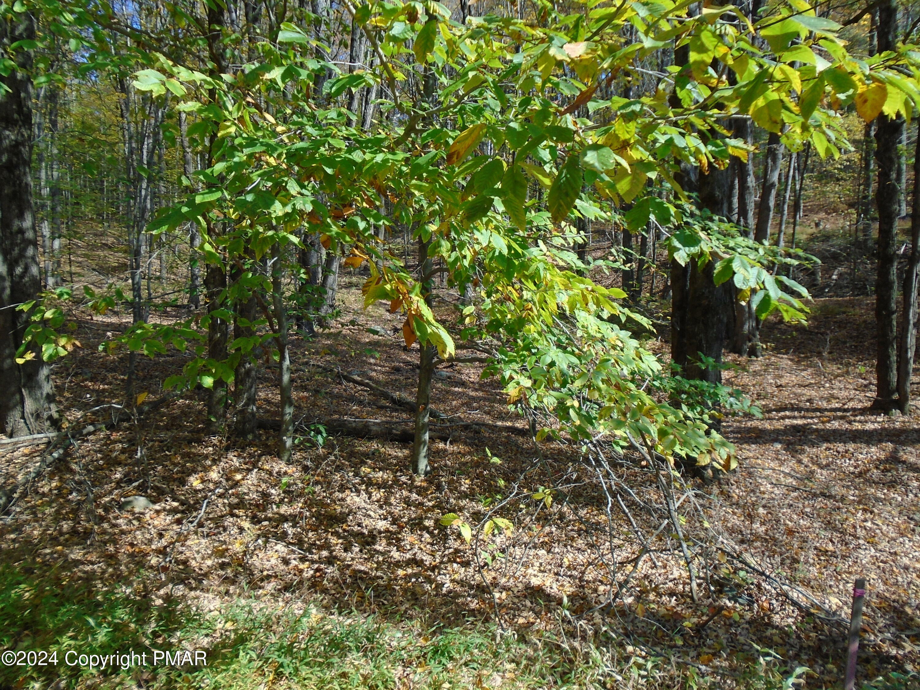 Property Photo:  Riverside Lane  PA 18347 