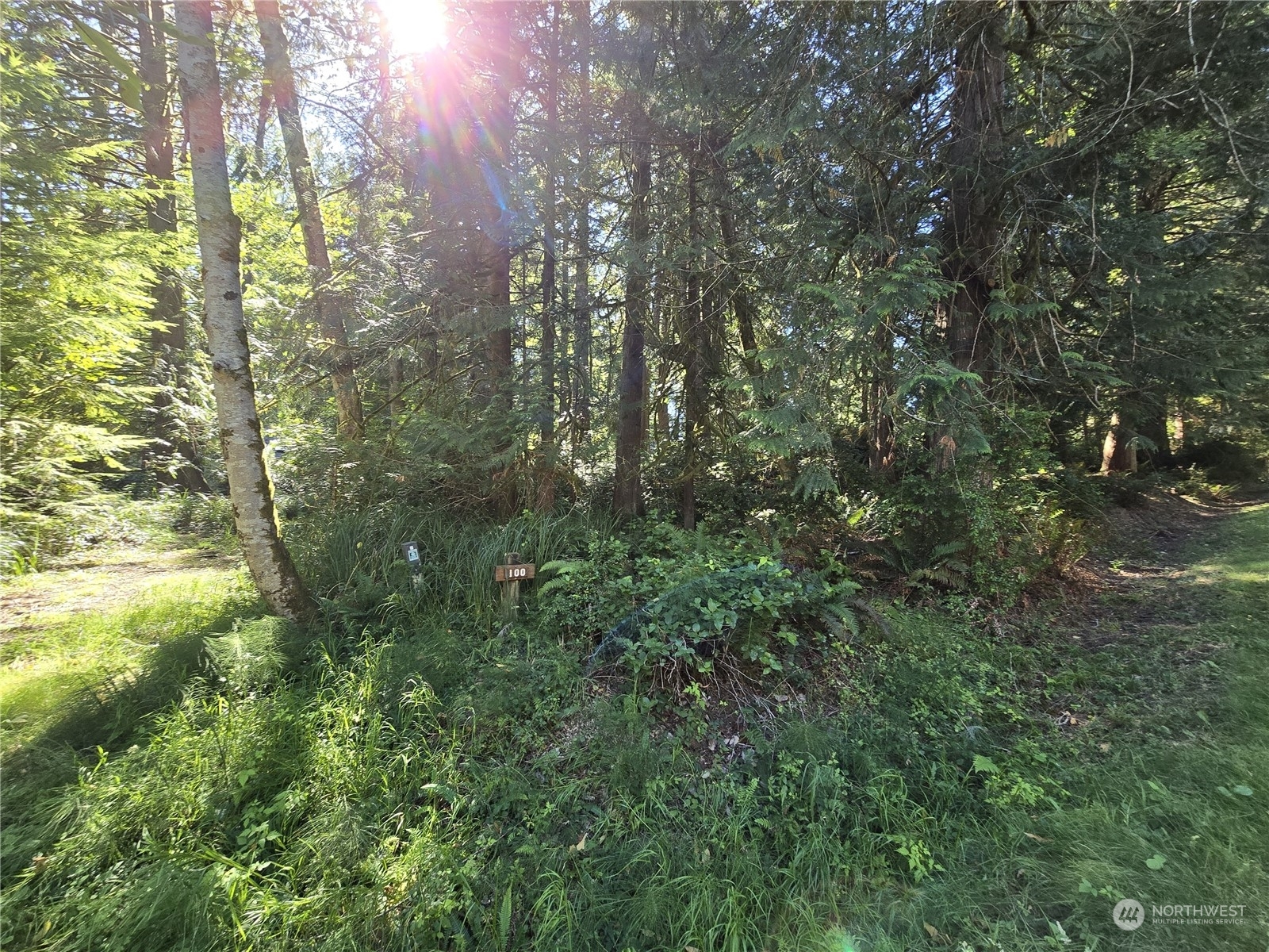 Property Photo:  100 E Liberty Road  WA 98584 