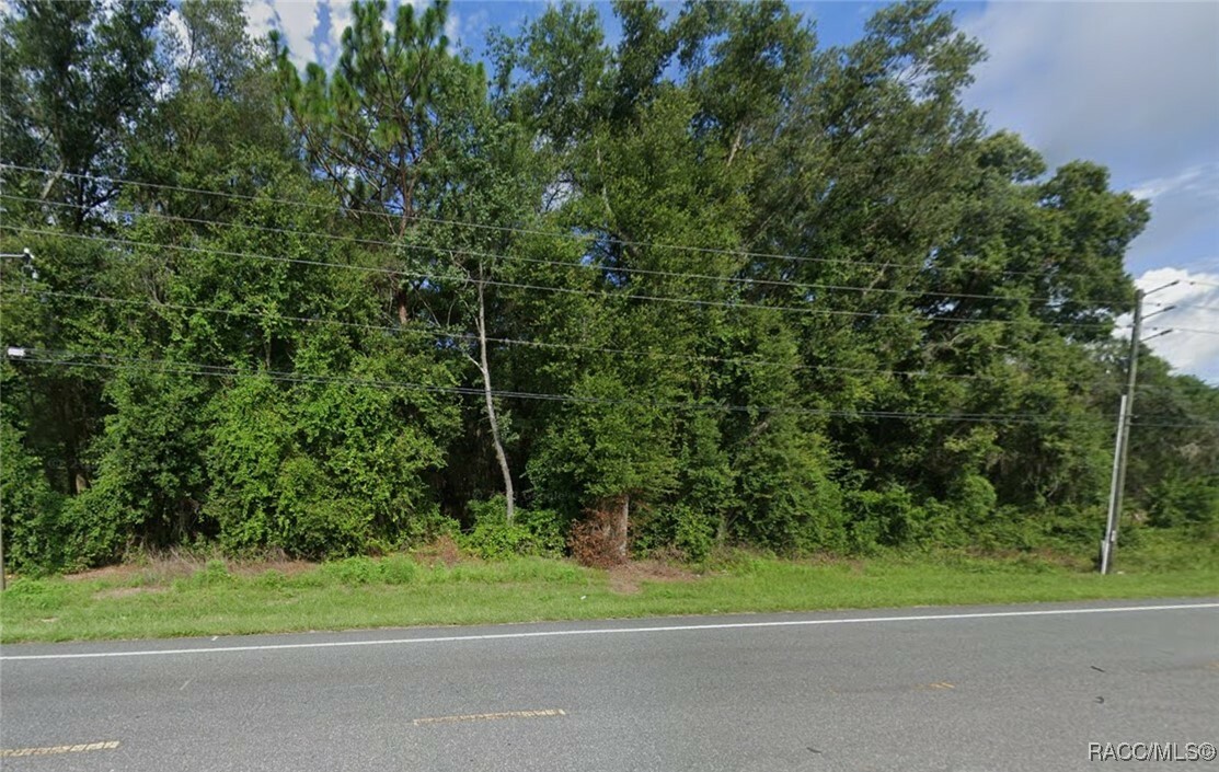 Property Photo:  4286 N Carl G Rose Highway  FL 34442 