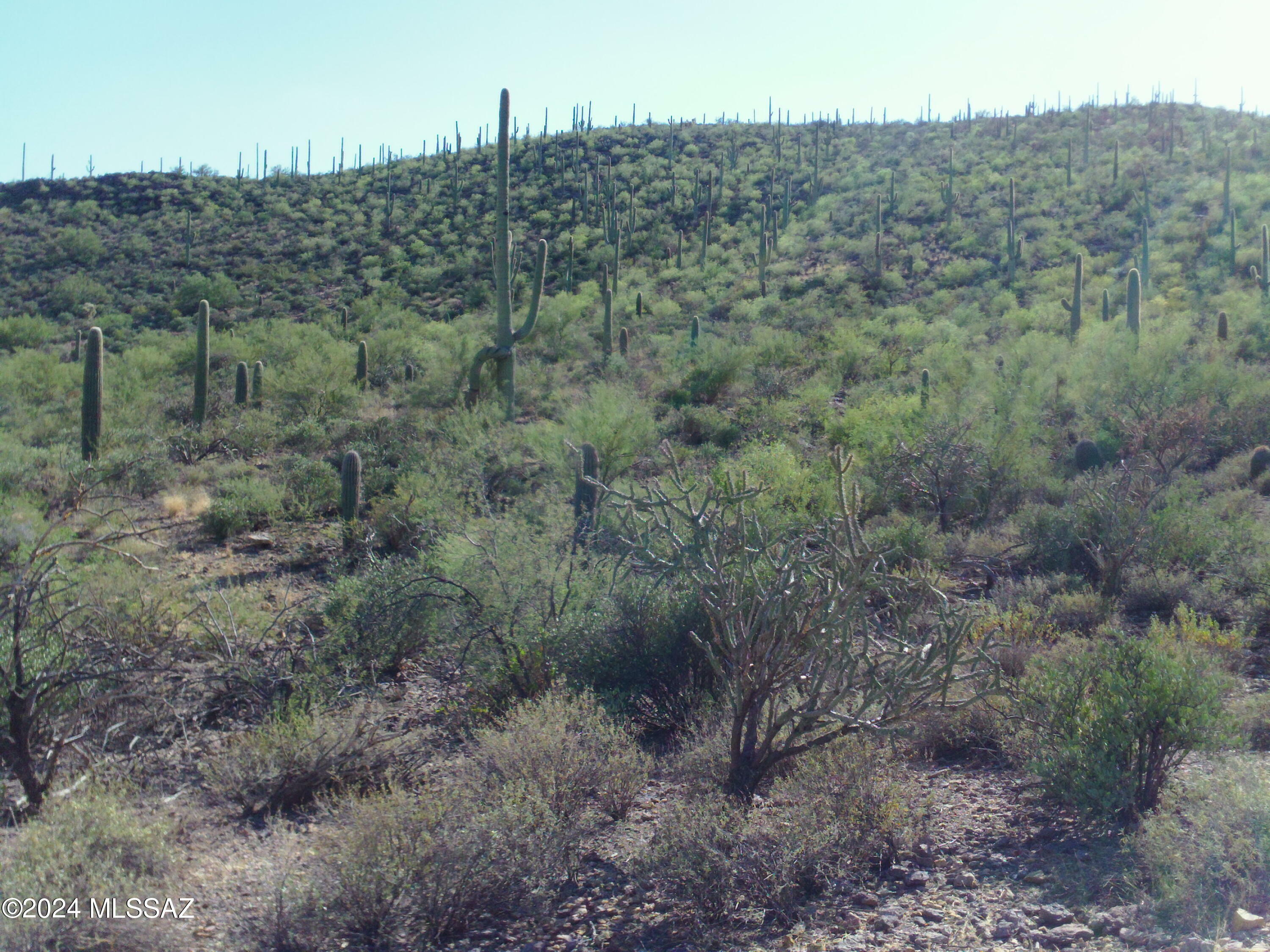 Property Photo:  4945 W Crestview Drive Lot 2  AZ 85745 