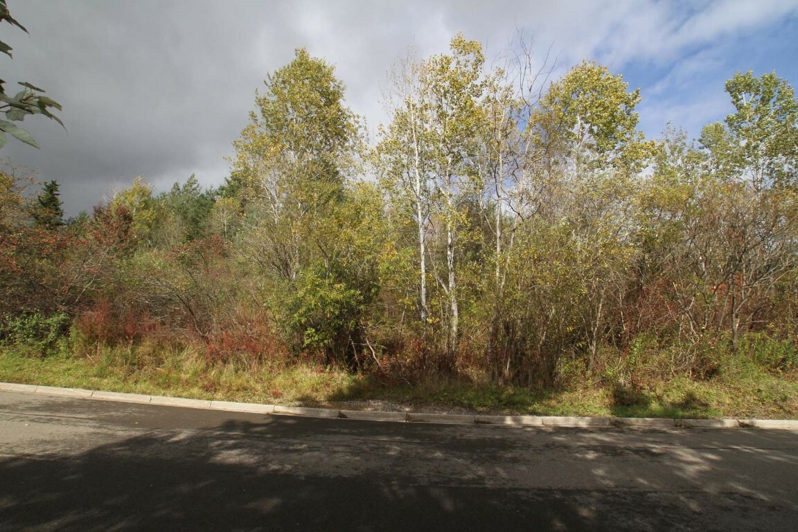 Property Photo:  1266 Lot 73 Domenica Drive  NY 13760 