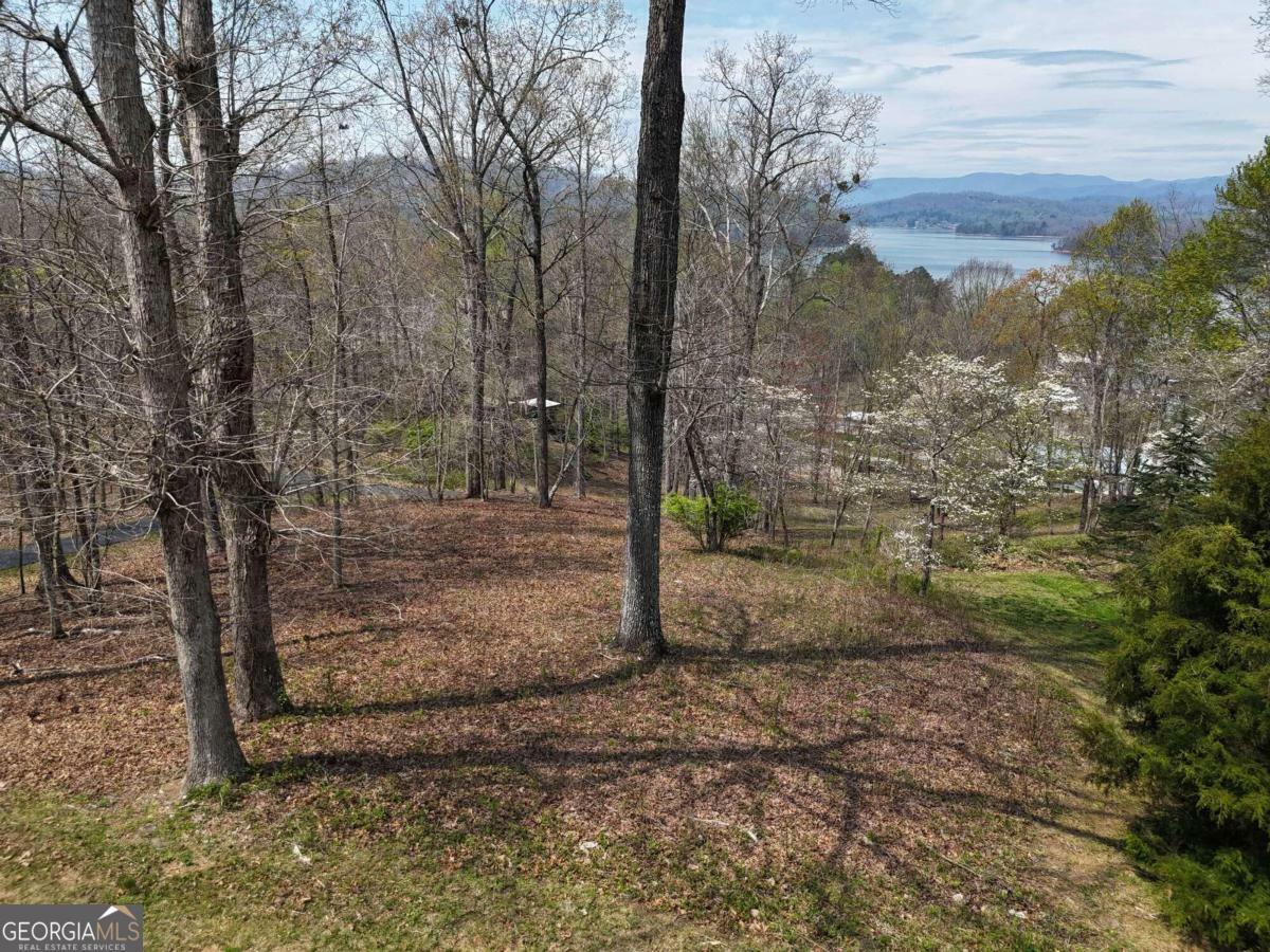 Property Photo:  Lot 12 Chatuge Cove Drive  NC 28904 