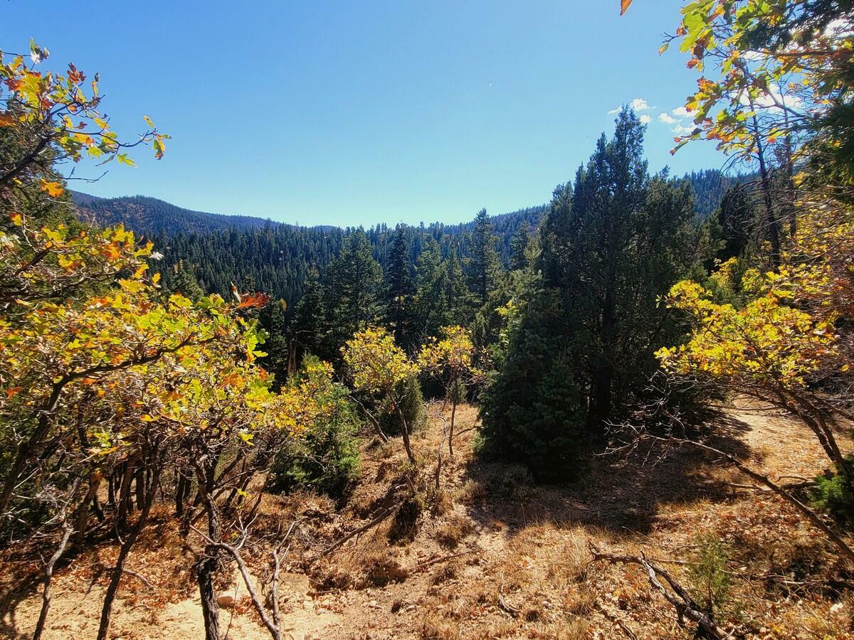 Property Photo:  Lot 18 White Sands Loop  UT 84762 