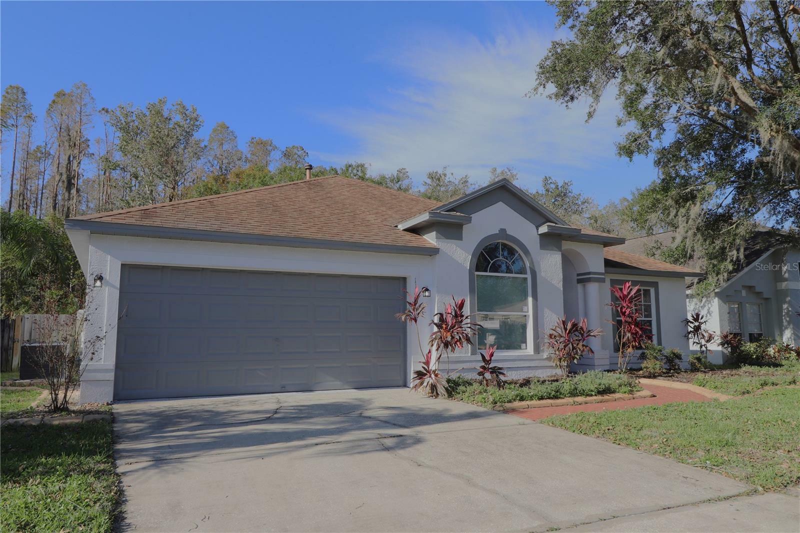 Property Photo:  1143 Timber Trace Drive  FL 33543 