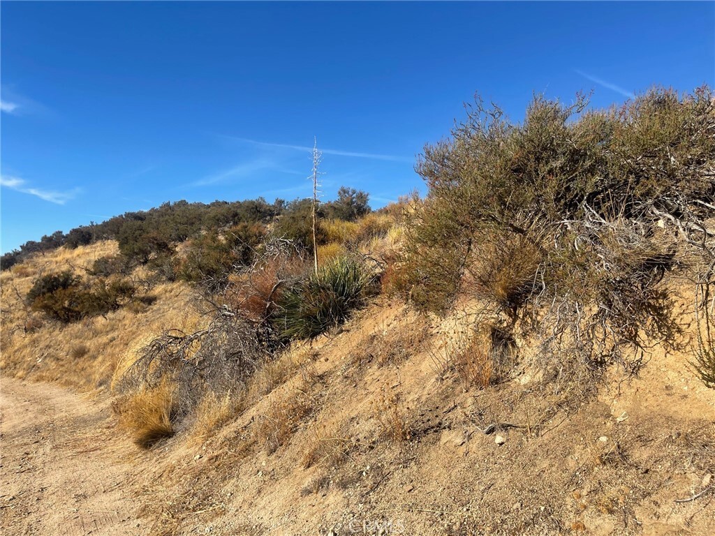 Property Photo:  0 Telephone Canyon  CA 92345 