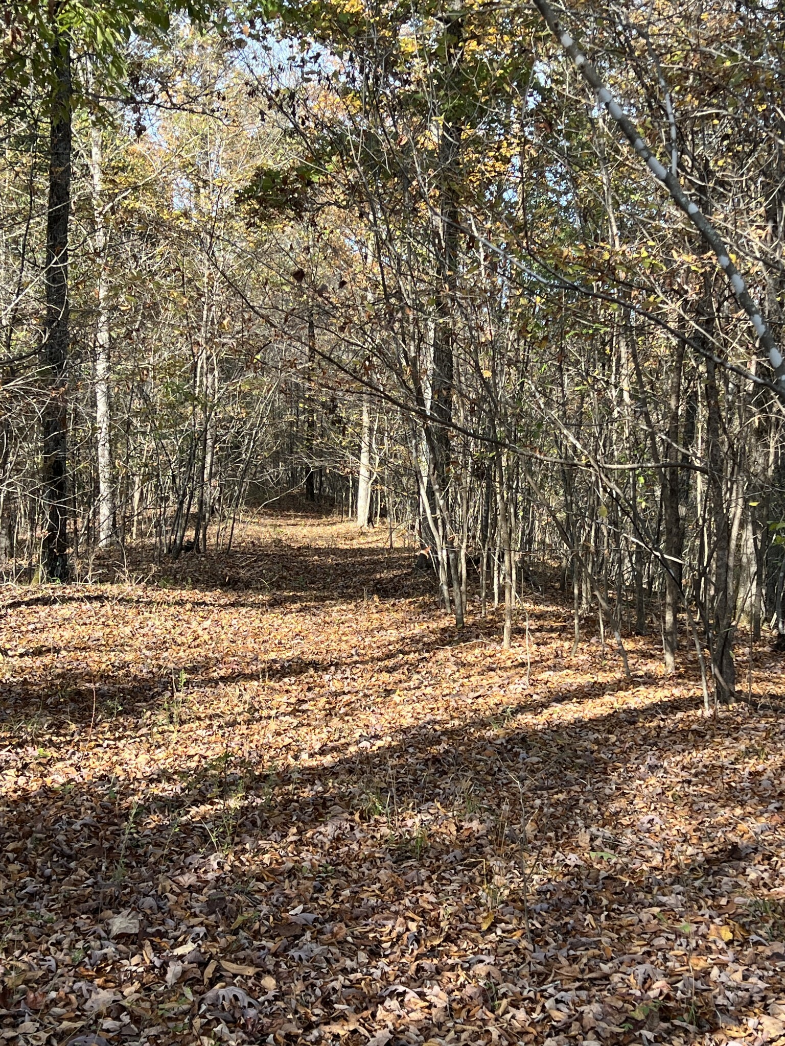 Property Photo:  1 Cane Creek Road  TN 38462 