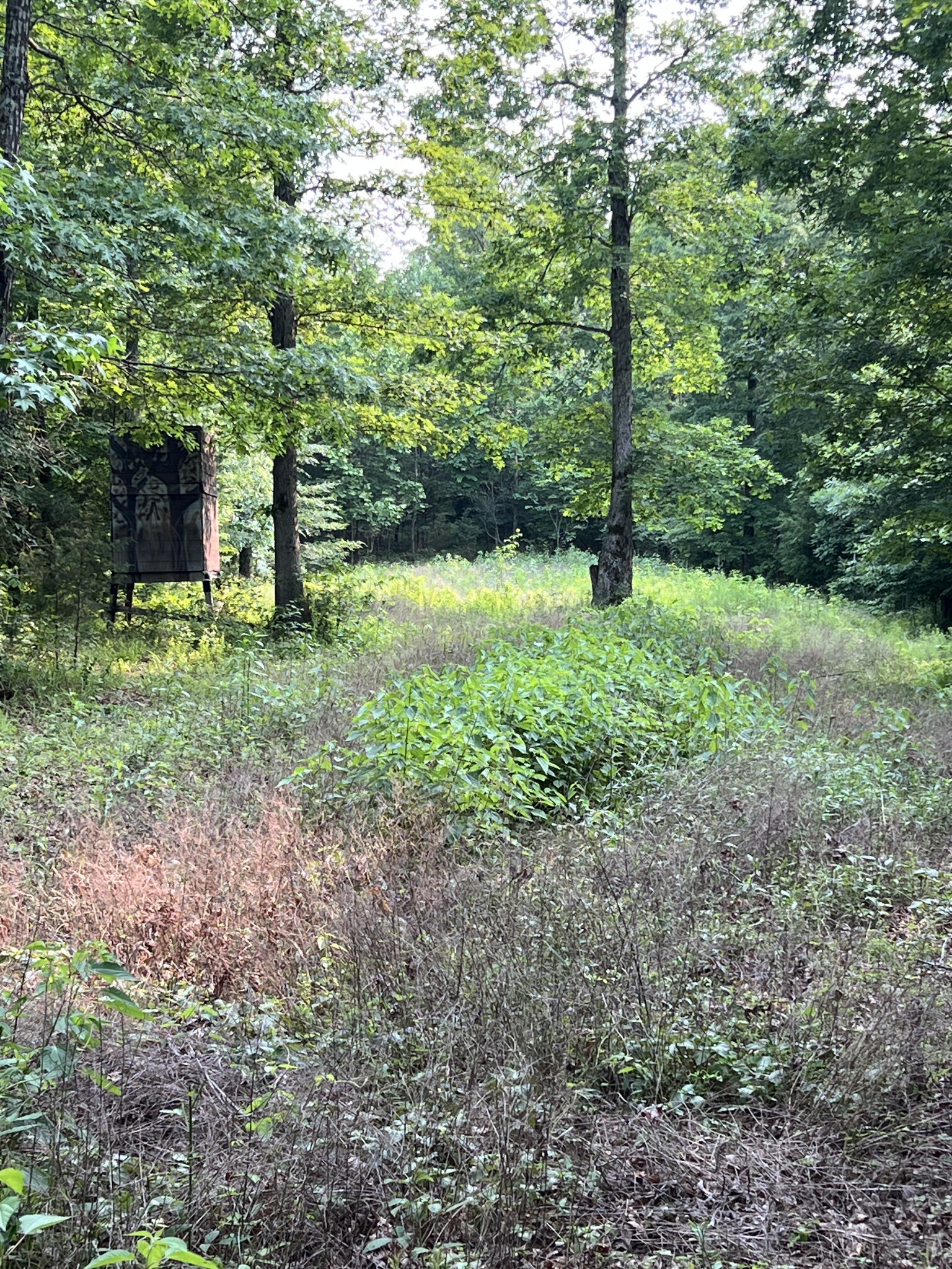Property Photo: 1 Cane Creek Road TN 38462