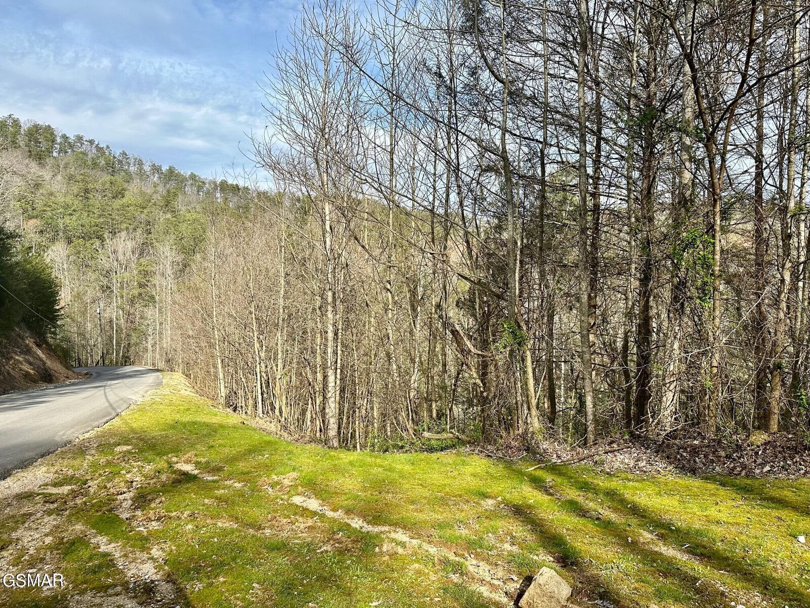 Property Photo: Lot 1 Mountain Dreams Way TN 37862