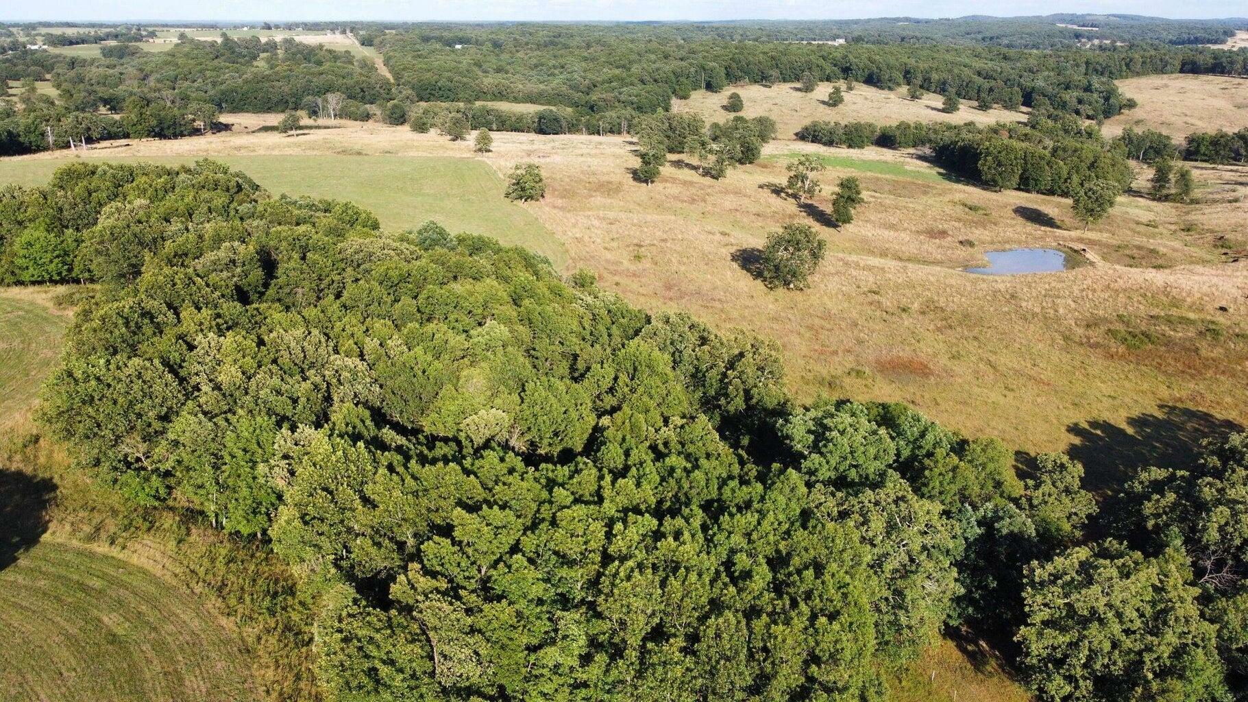 Property Photo: 000-A County Line Road MO 65711