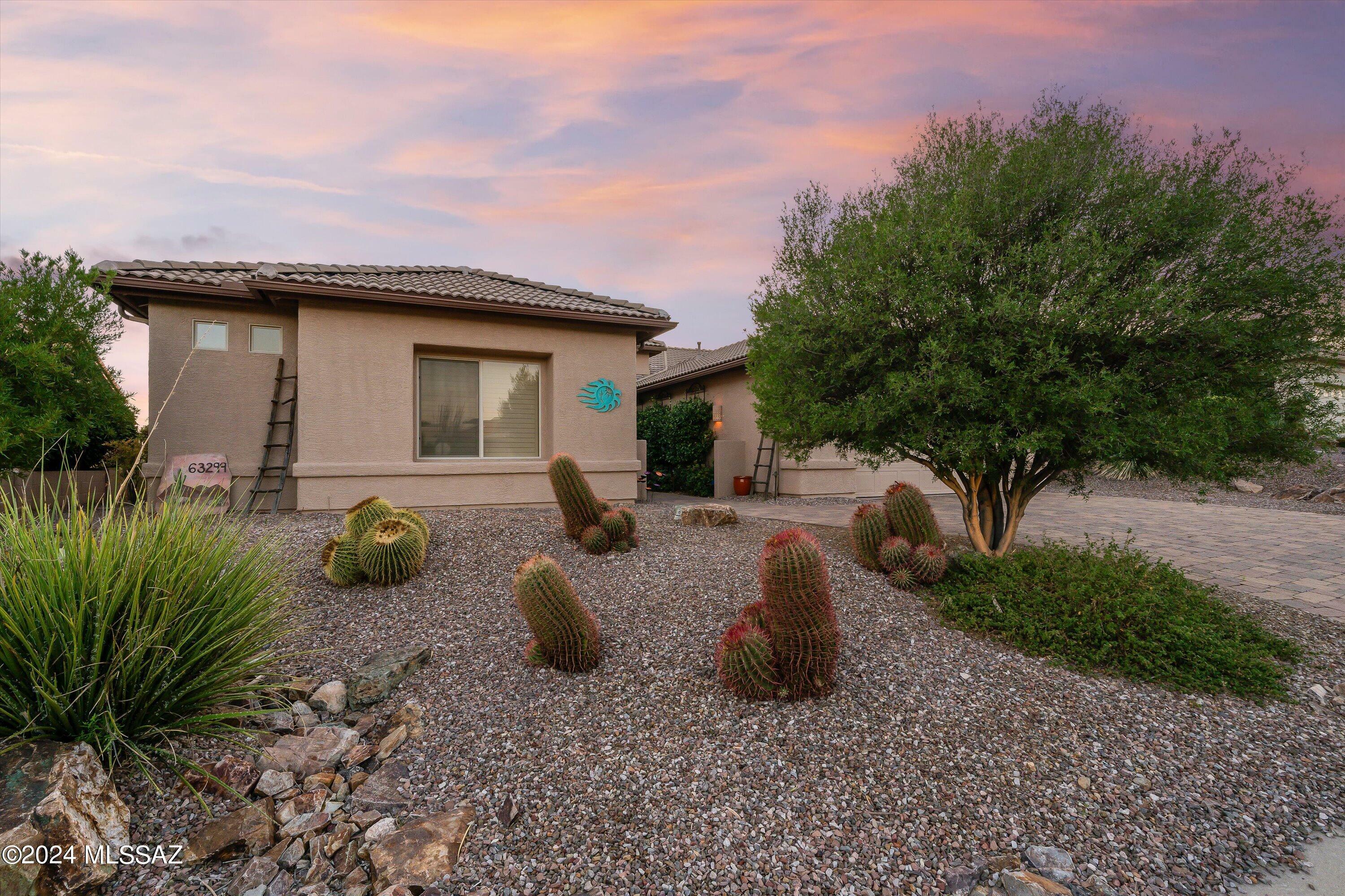 Property Photo:  63299 E Desert Highland Drive  AZ 85739 