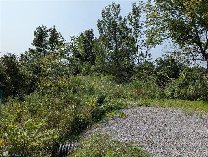 Property Photo:  156 Adair Rd  ON K0K 3G0 