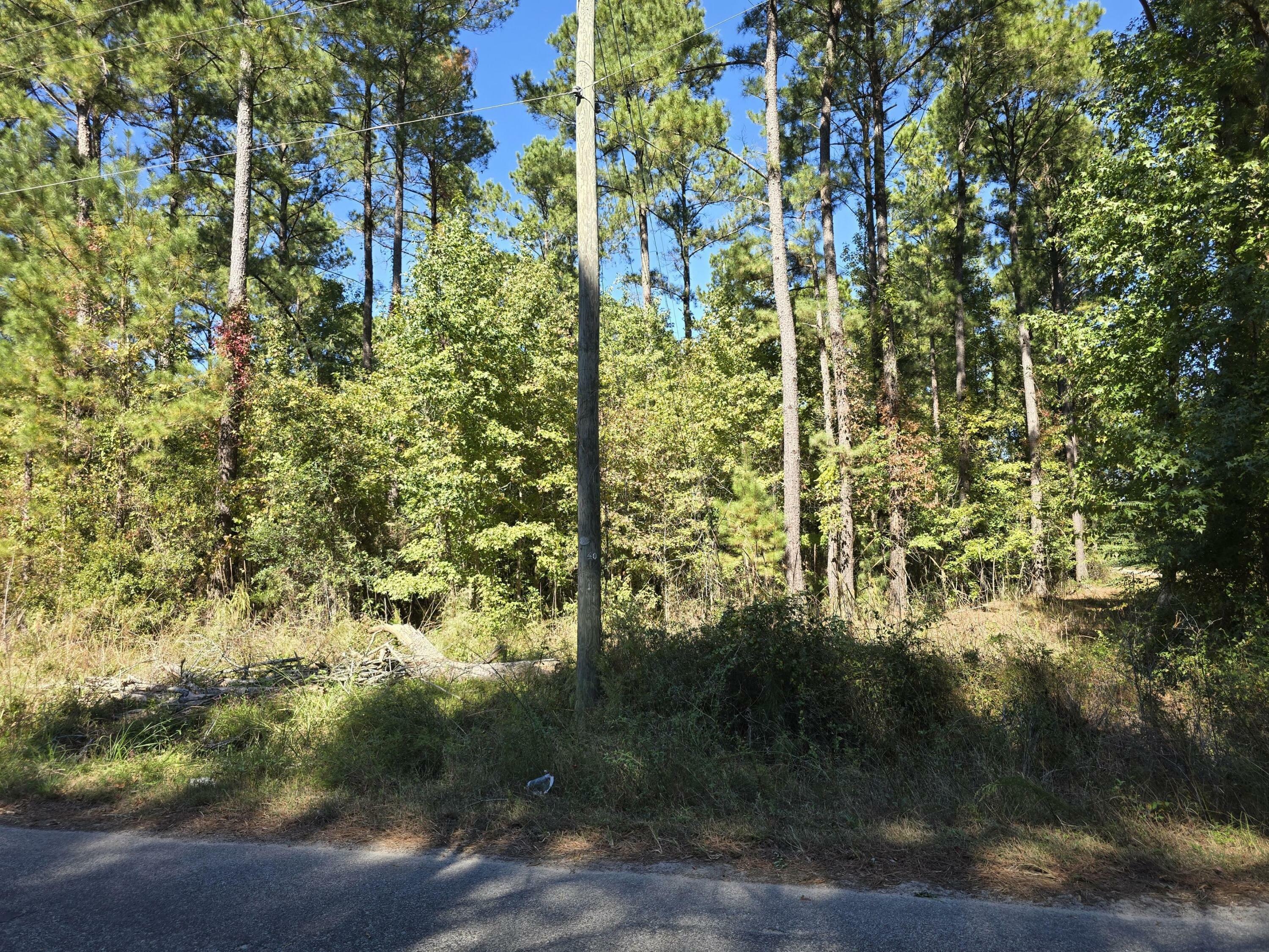 Property Photo:  0 Deep Woods Road  SC 29477 