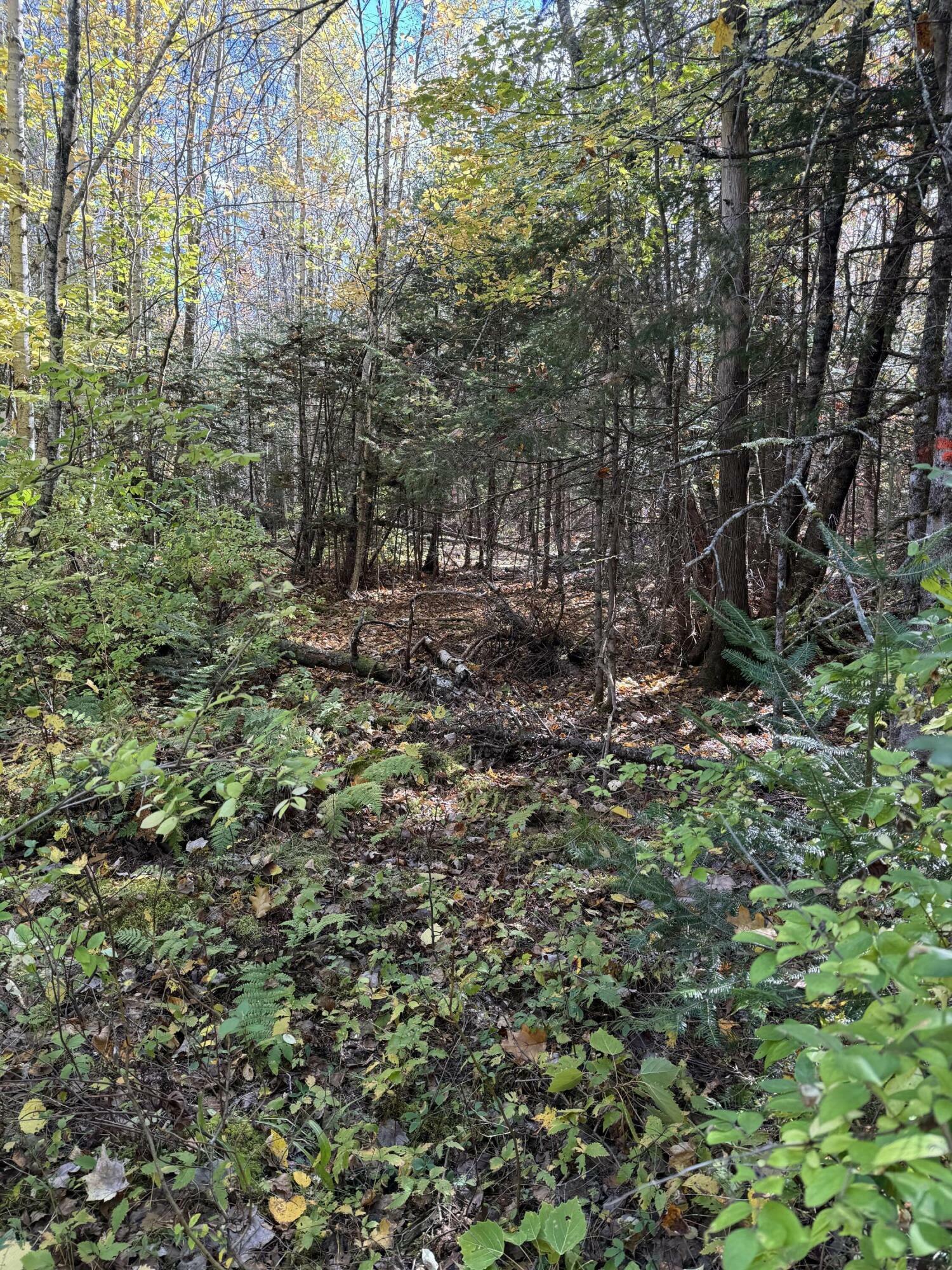 Property Photo:  Lot 9-3 Lilly Drive  ME 04953 