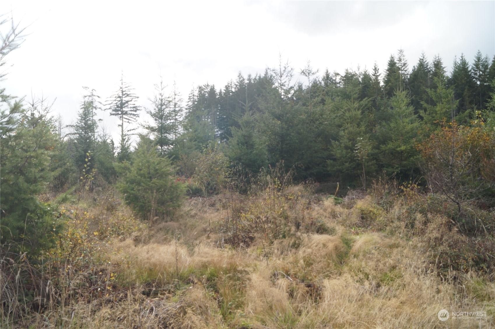 Property Photo:  0 Off Of W Ford Loop Road  WA 98541 