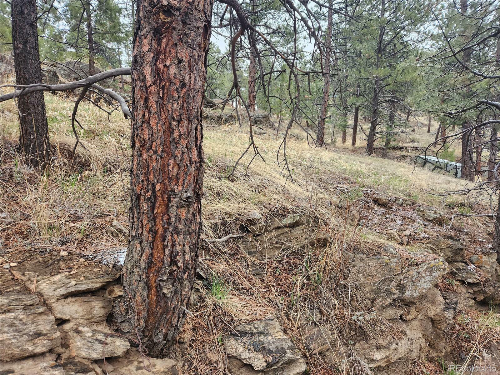 Property Photo:  000 Forest Hill Road  CO 80439 