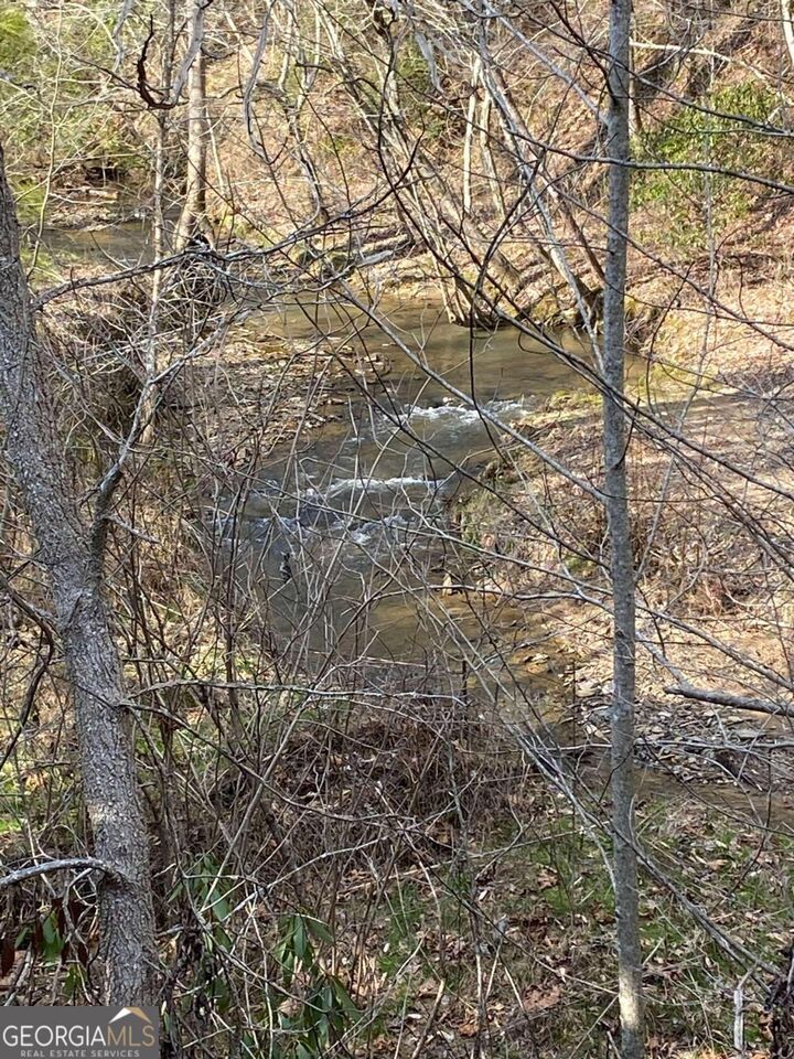 Property Photo: Lot 77 Roaring Forks Lane GA 30540
