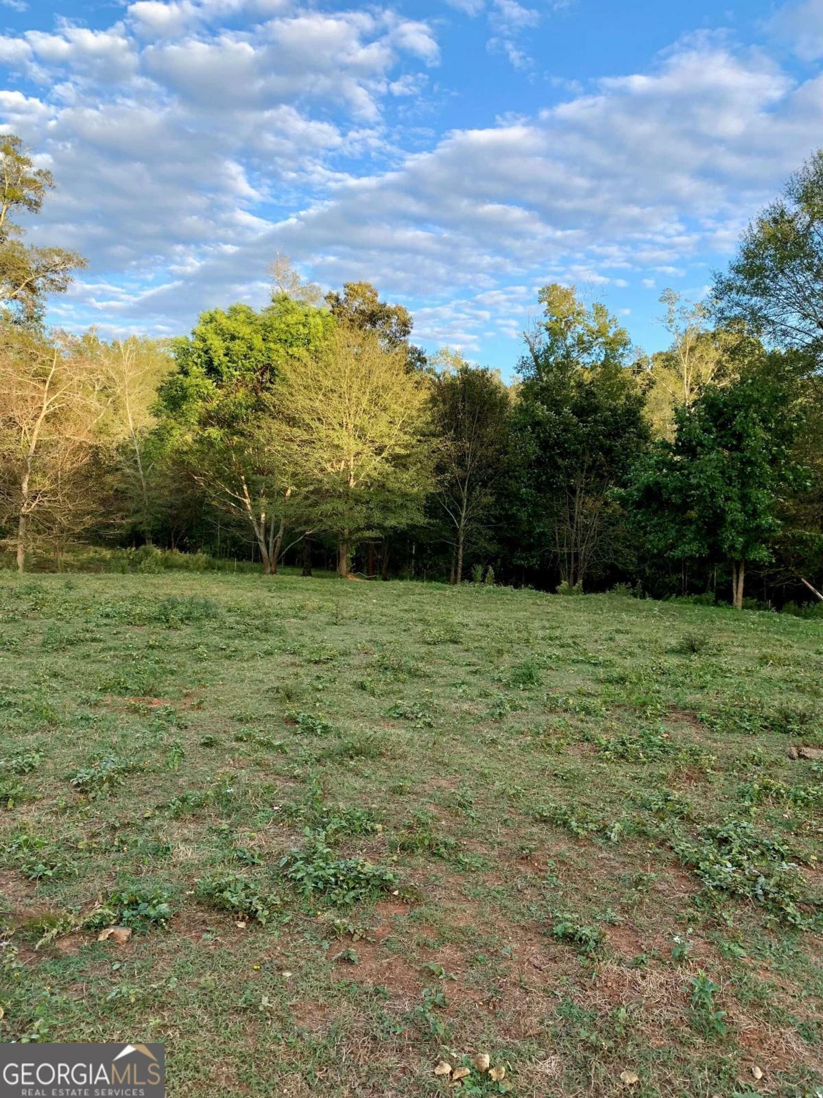 Property Photo:  0 Harris Farms Road  GA 30549 