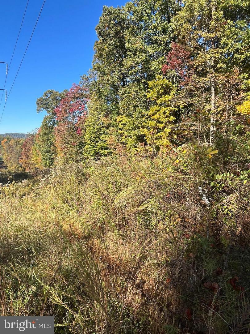 Property Photo:  Lot 1 Big Spring Road  PA 17070 