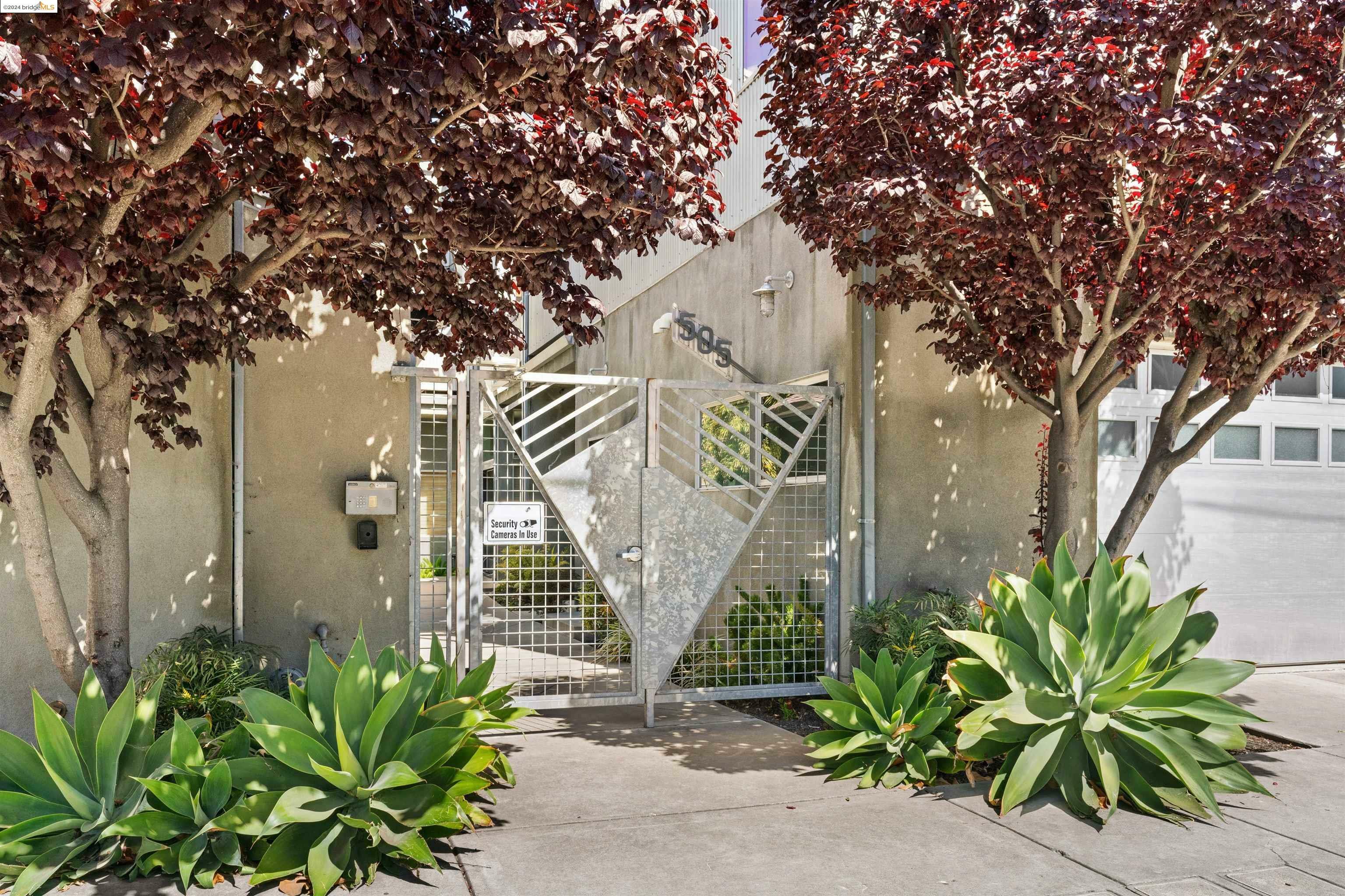 Property Photo:  505 Lancaster St 3  CA 94601 