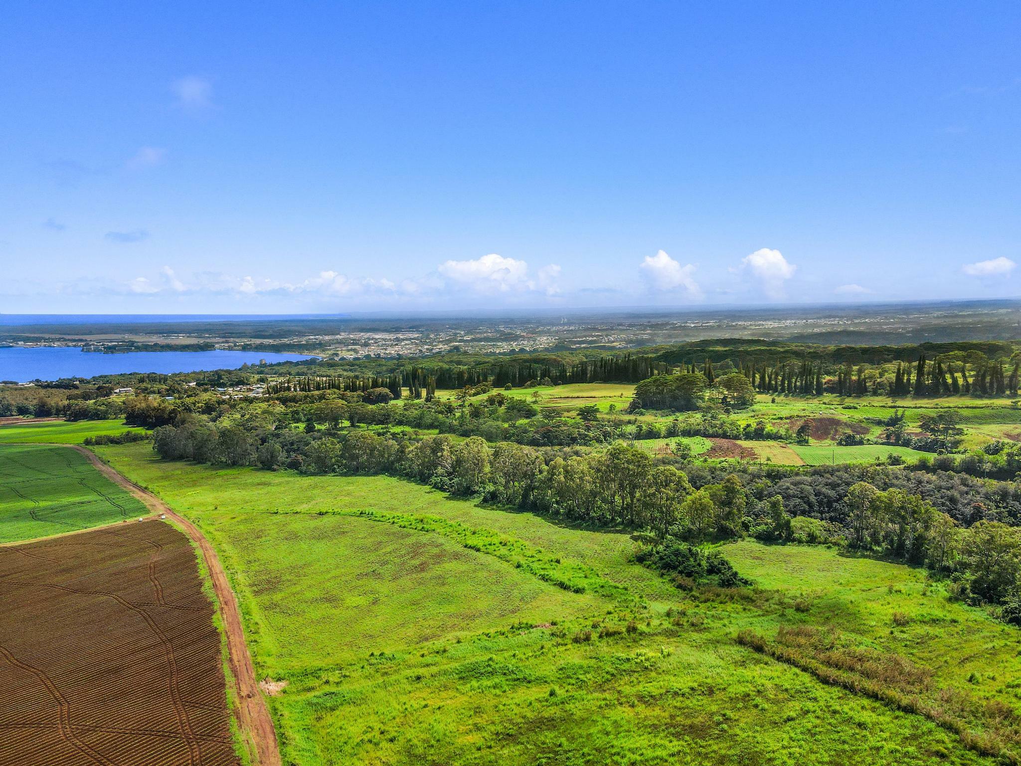Property Photo:  6 Kaiwiki Road  HI 96720 