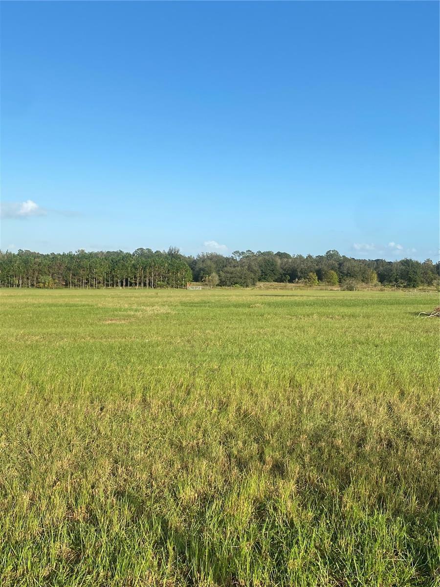 Property Photo:  Empire Church Road  FL 34736 