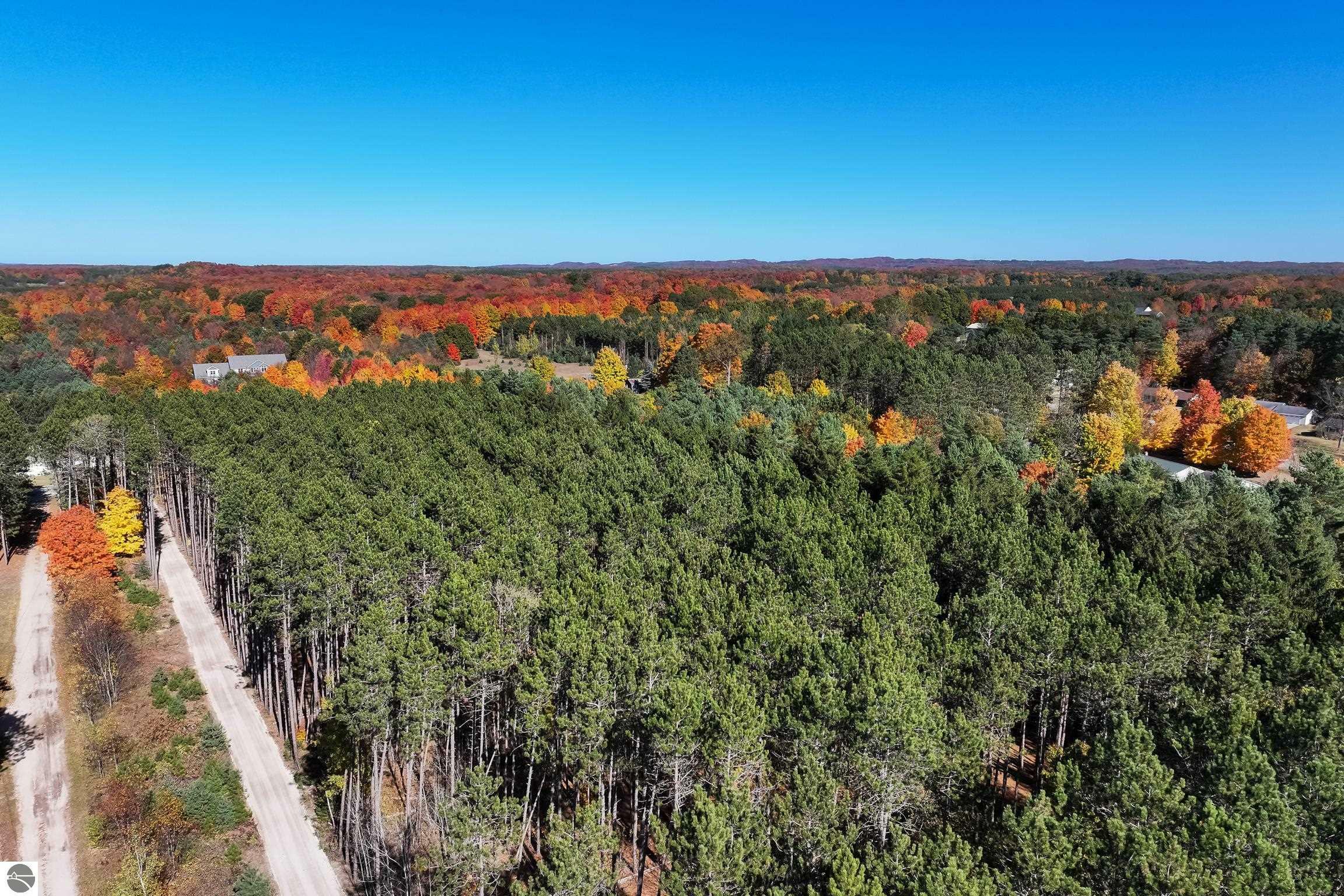 Property Photo:  Lot B Thiel Road  MI 49685 