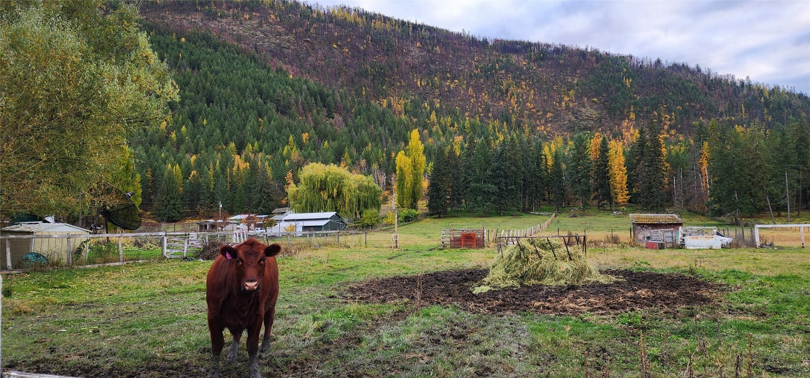 Photo de la propriété:  467 Rawlings Lake Road  BC V0E 2G5 