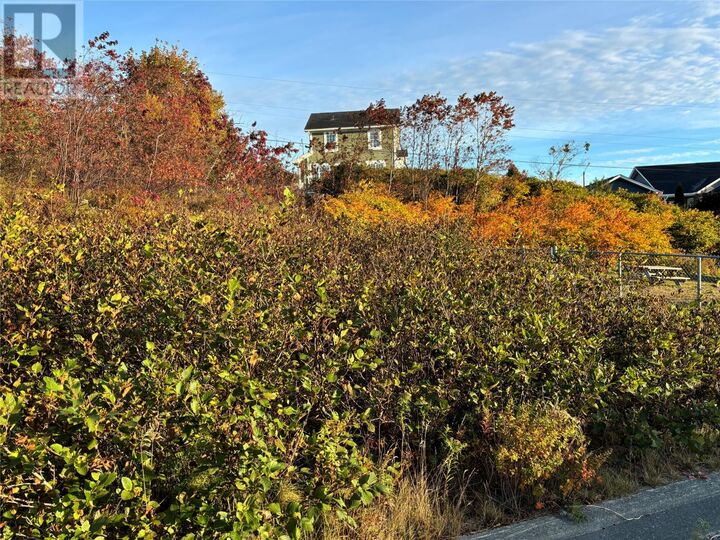 Property Photo:  61 Badcock Boulevard  NL A0A 1G0 