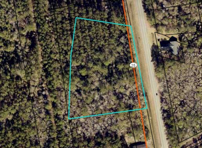 Property Photo:  V/L Cornelia Armstrong Tract 1 & 2  GA 31569 